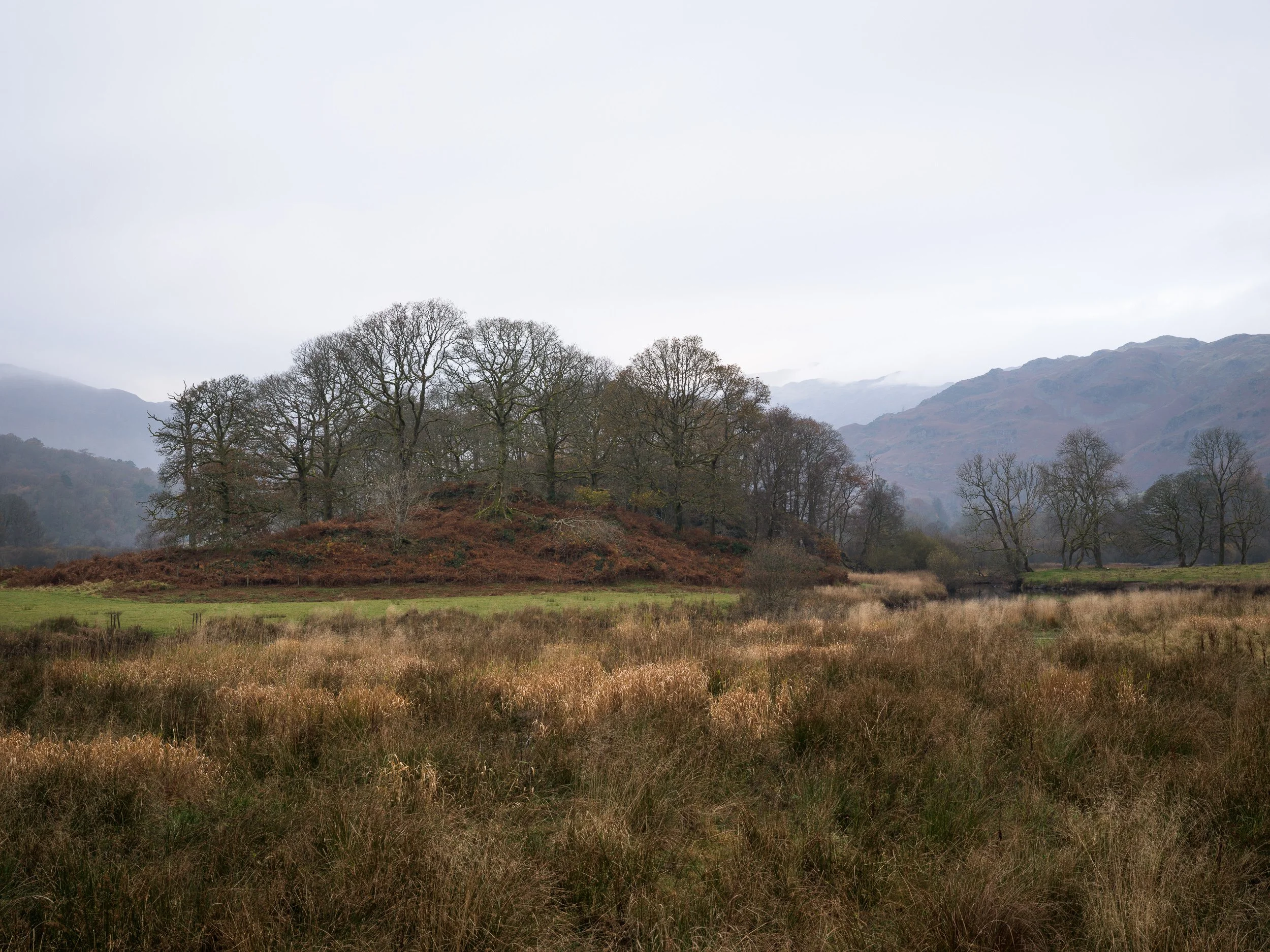 20241105-143835-HasselbladX2D 100C_Blog.jpg