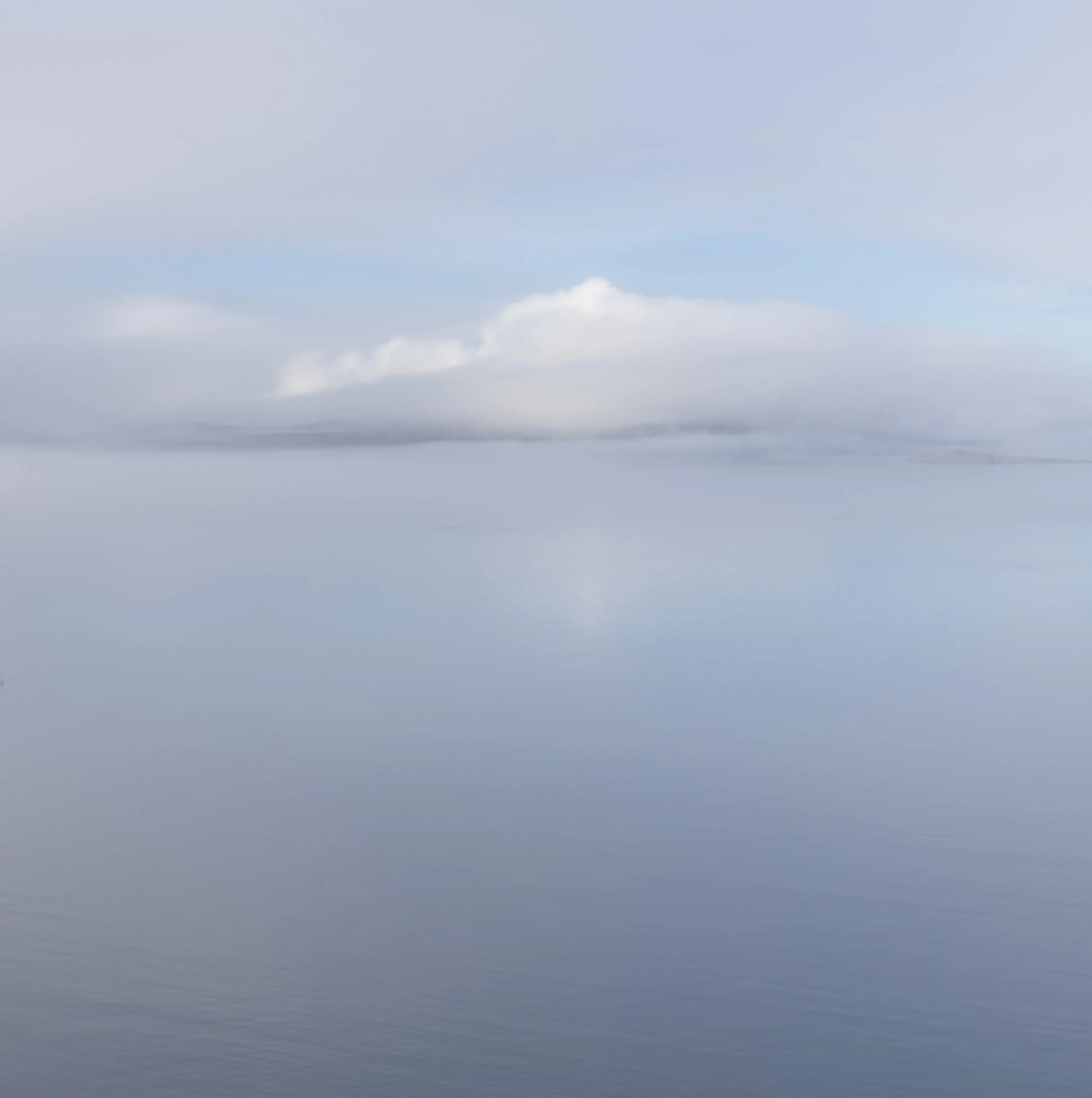 20241028-105212-HasselbladX2D 100C_Blog.jpg