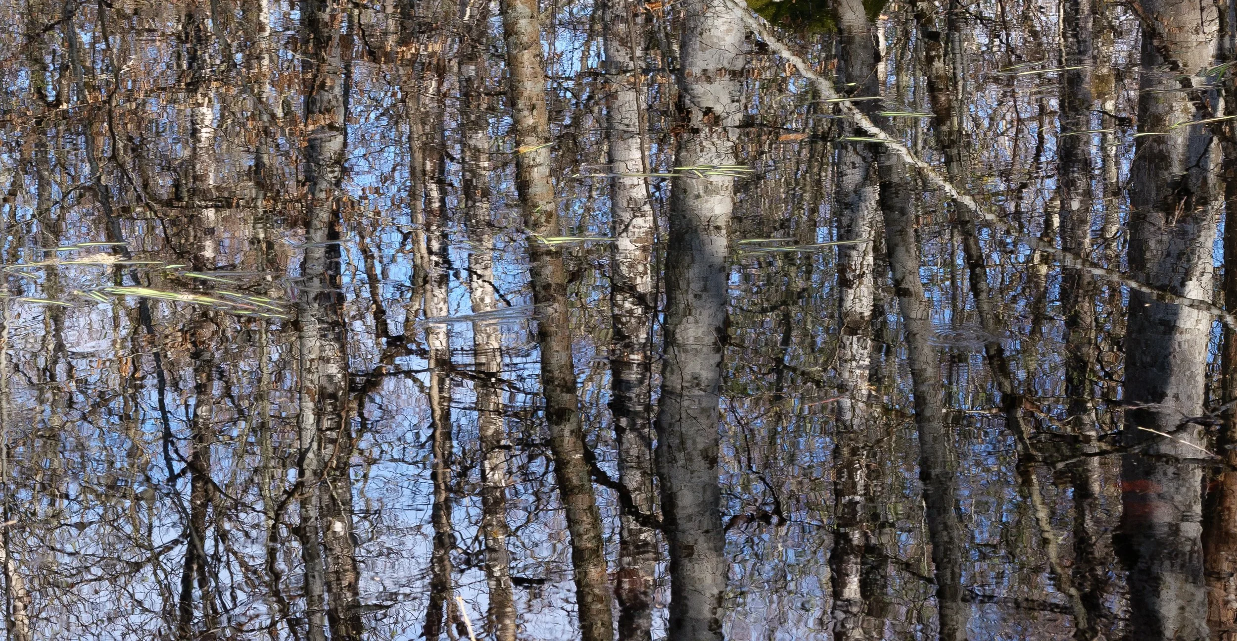 April, a nature reserve, Sweden