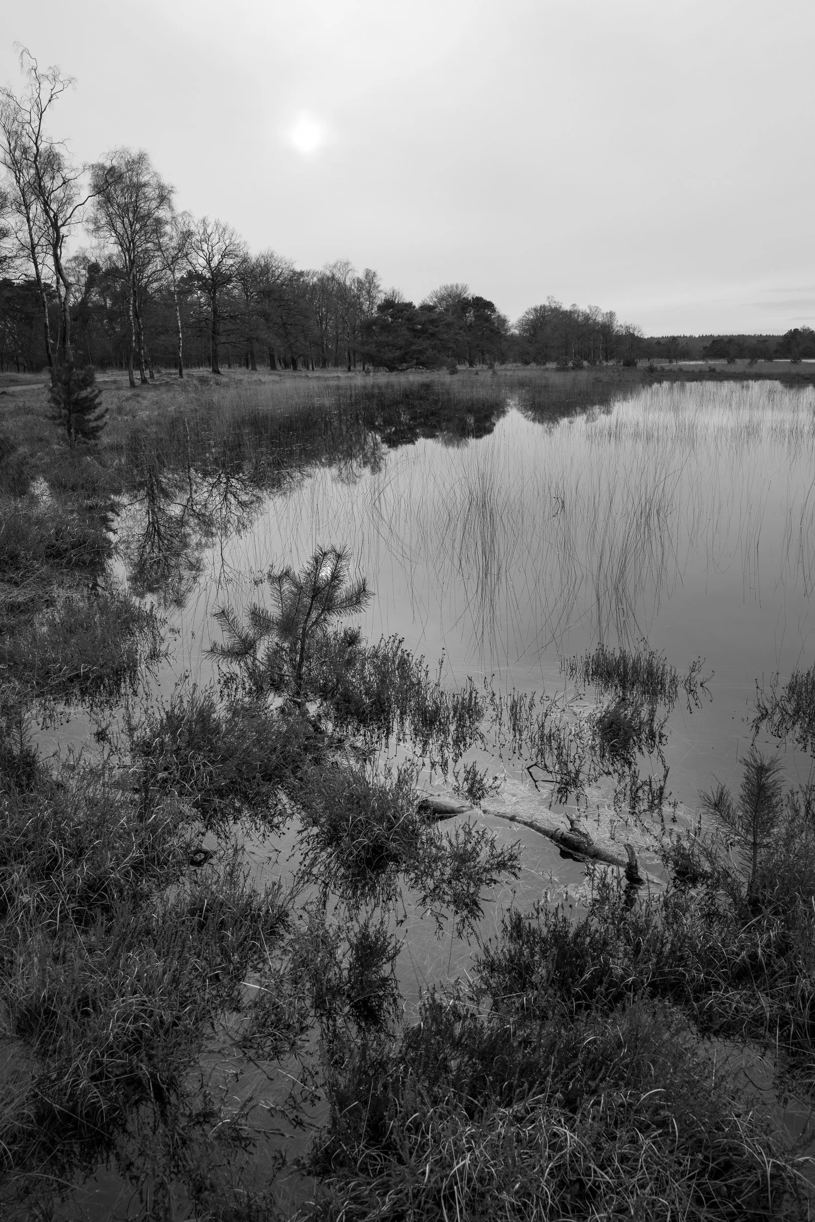 March, Leersumse Plassen, Utrecht, NL