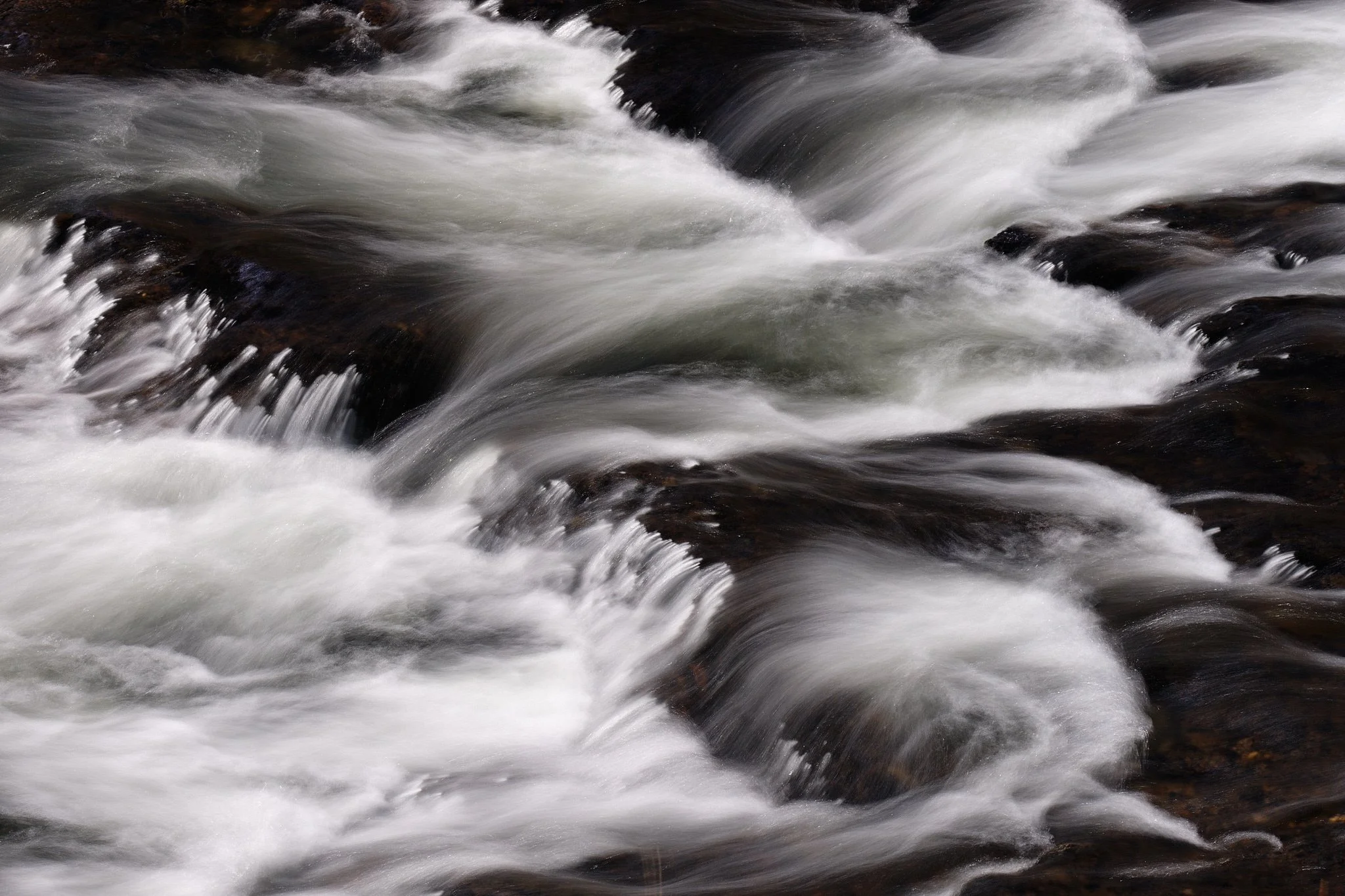 _DSF93612019 Fall Trip.jpg