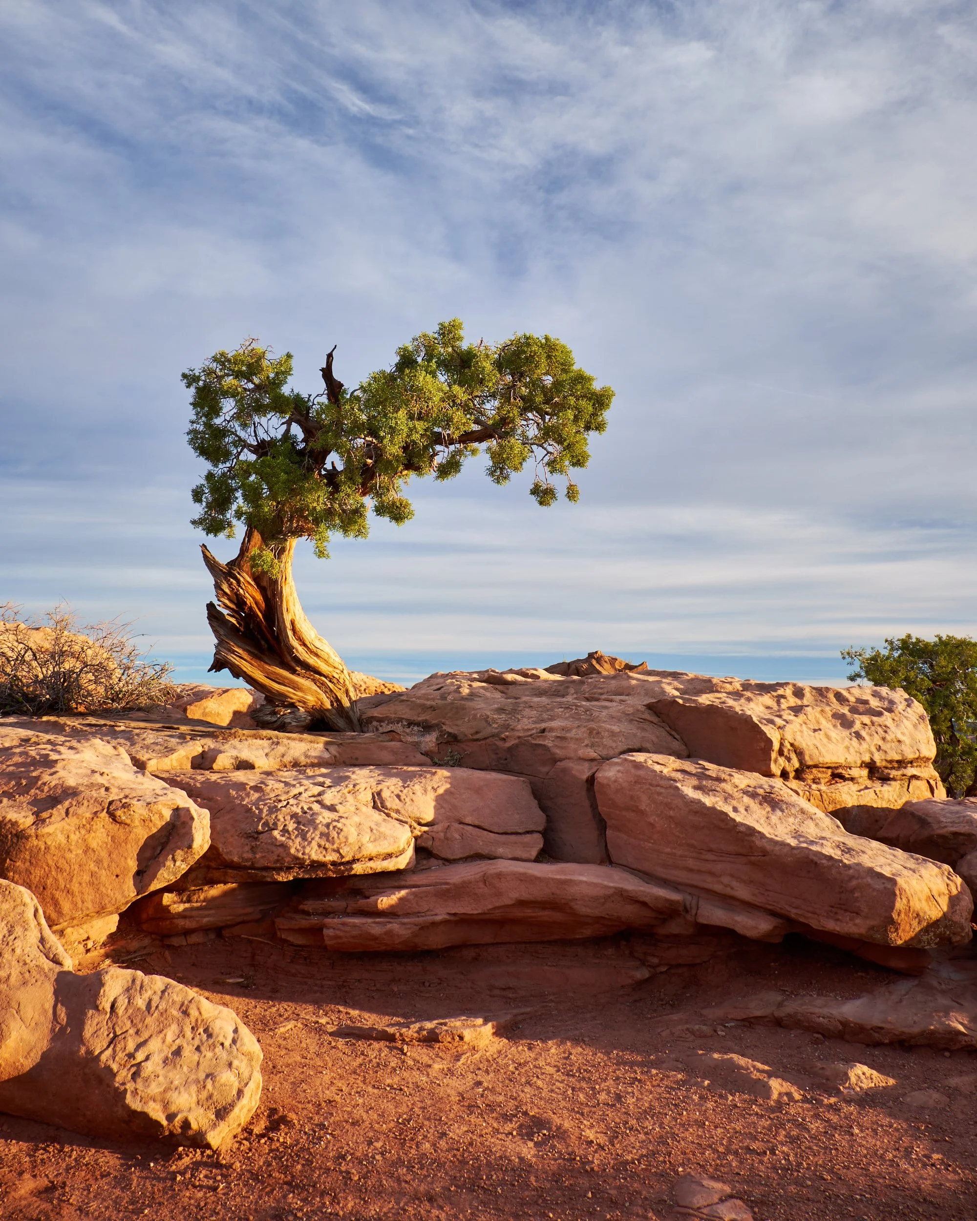 2015 Dead Horse Point, Utah
