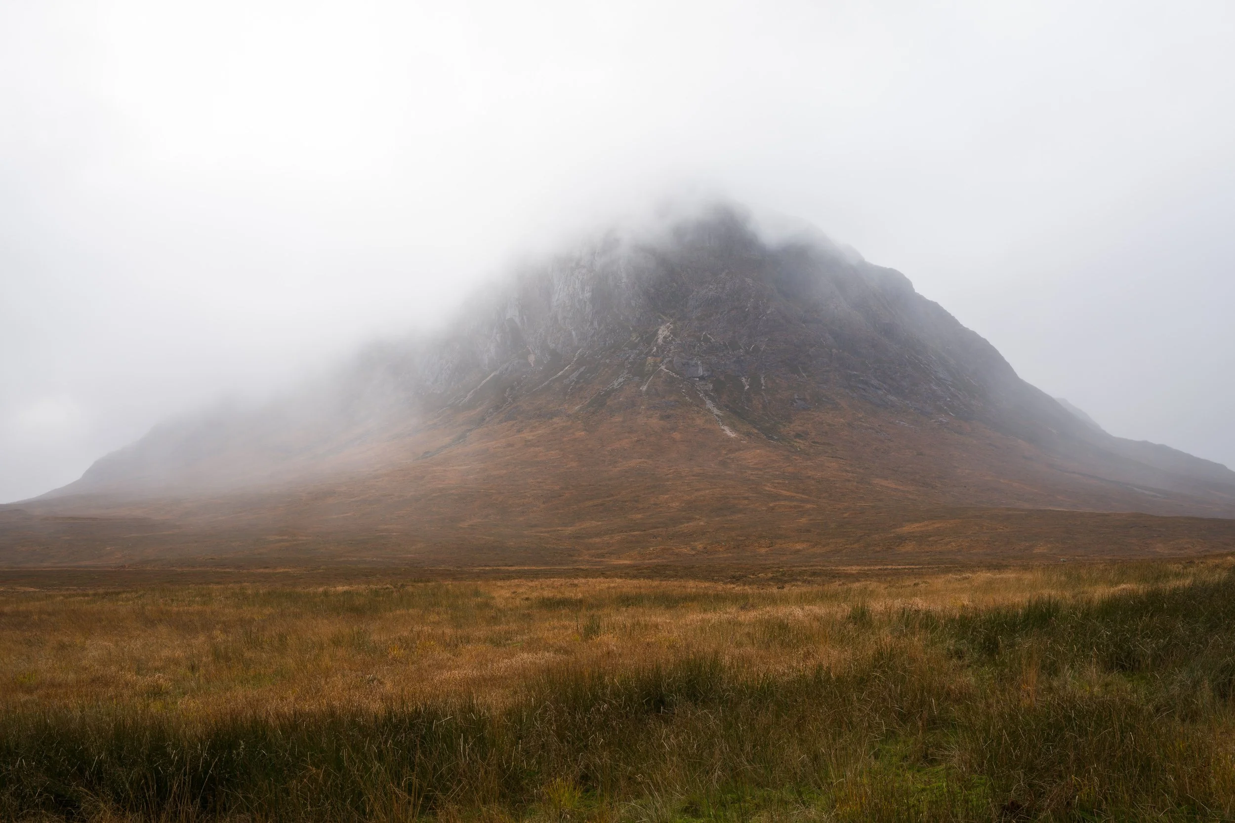 20241102-141148-HasselbladX2D 100C_Blog.jpg