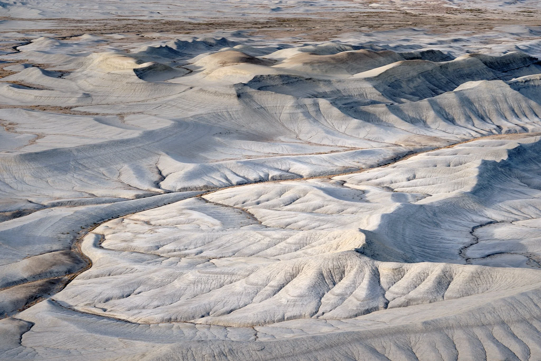 _DSF03322019 Fall Trip.jpg