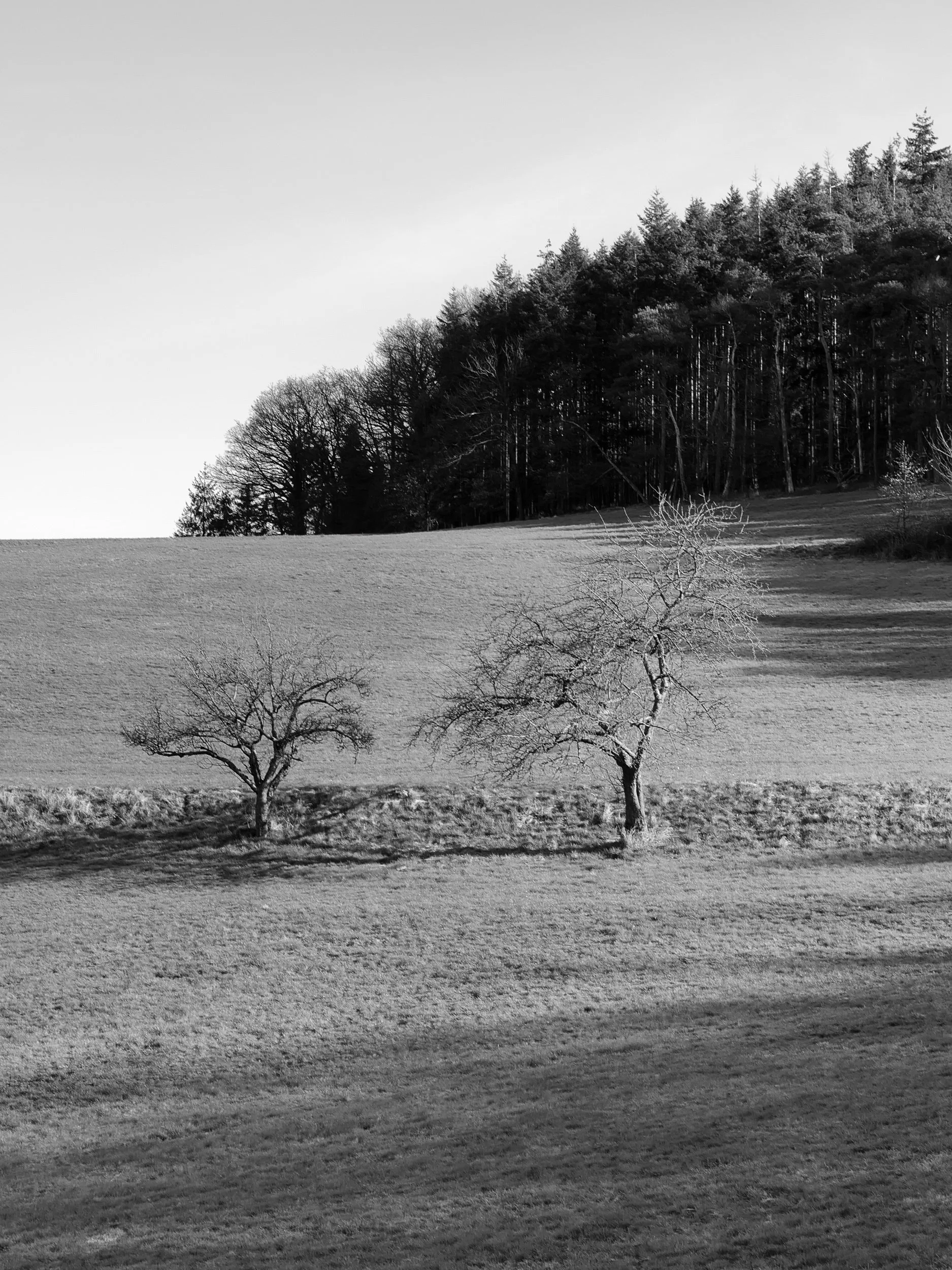 April, Kellerwald-Edersee NP, Germany