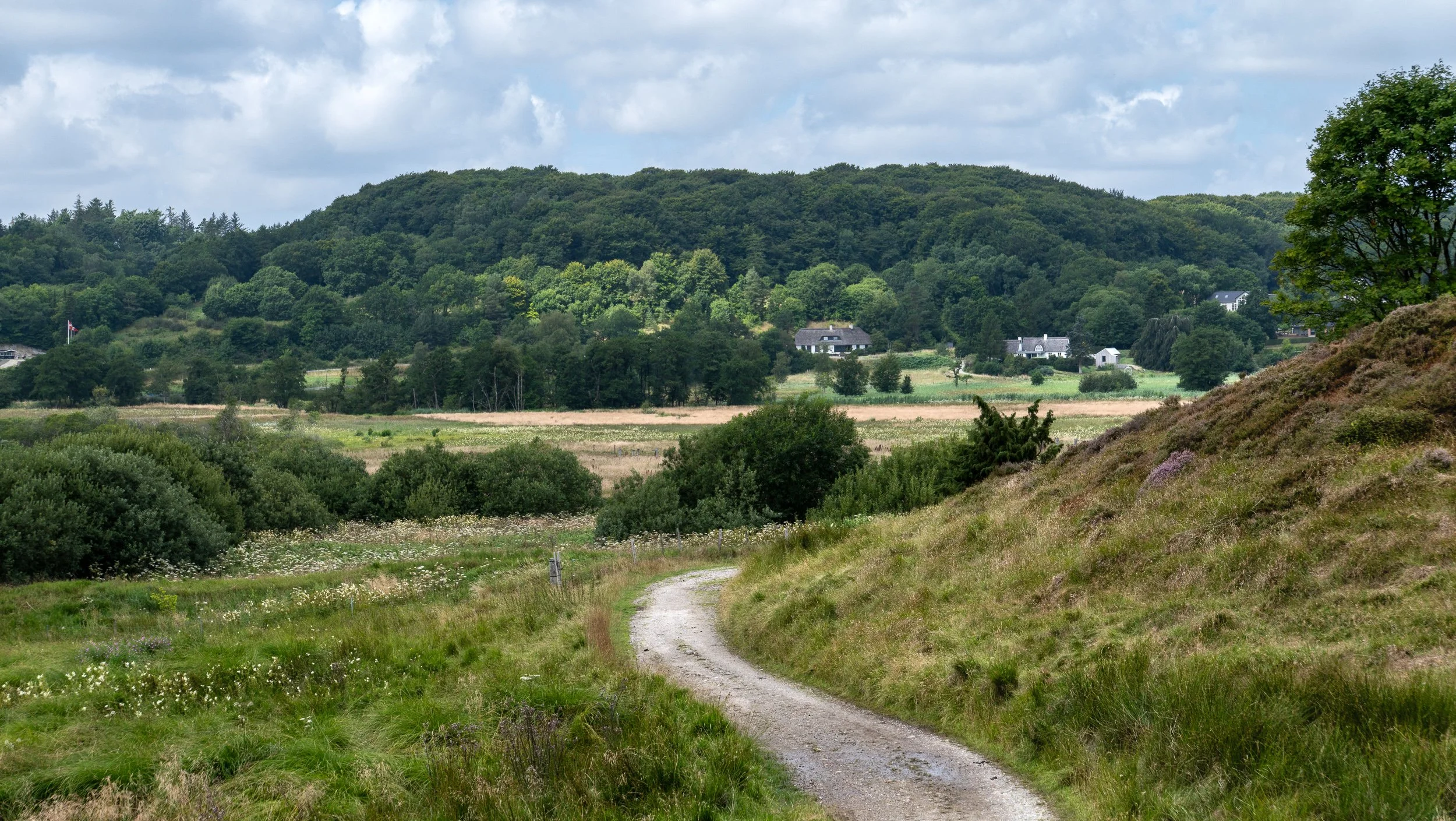 July - Rebild National Park, Denmark, on route to Iceland