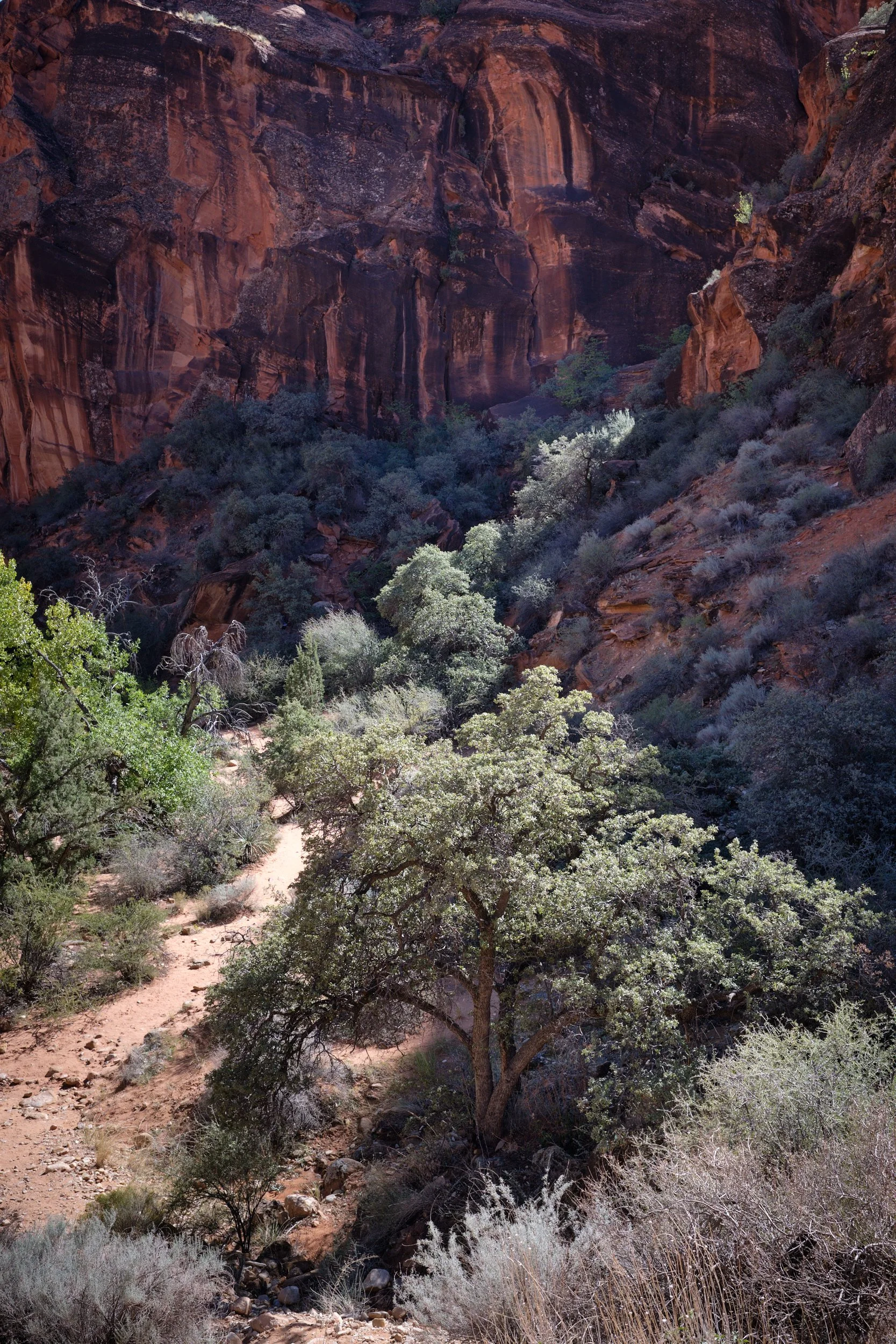 2018-10-14_14-14-40_RedCliffs.jpg