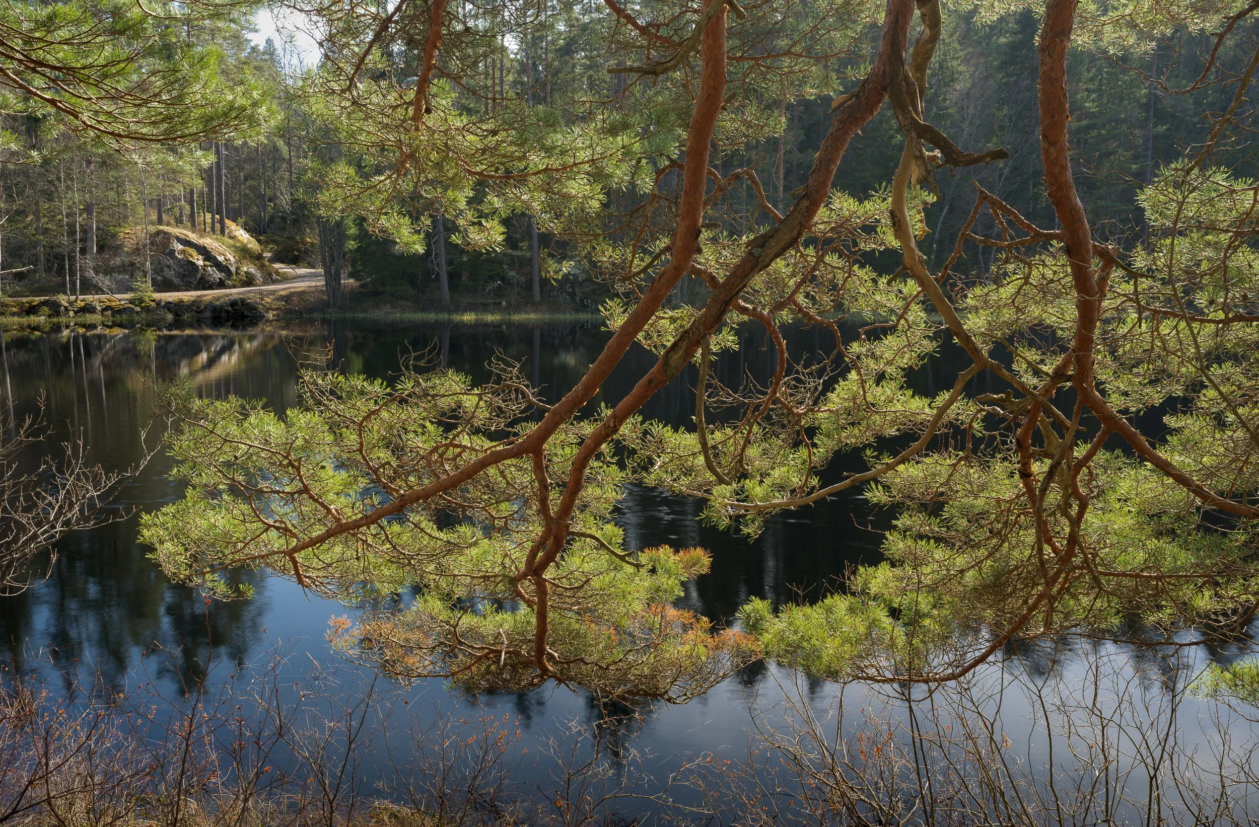 April, Tiveden NP, Sweden