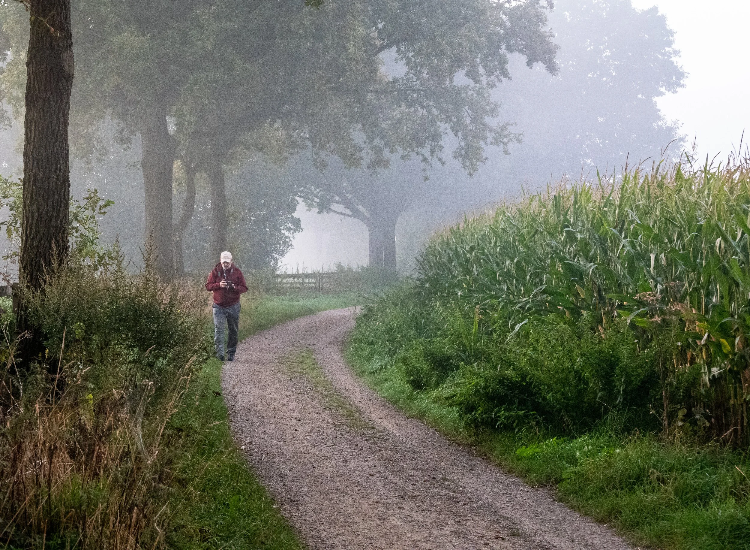 September, morning walk, Didam