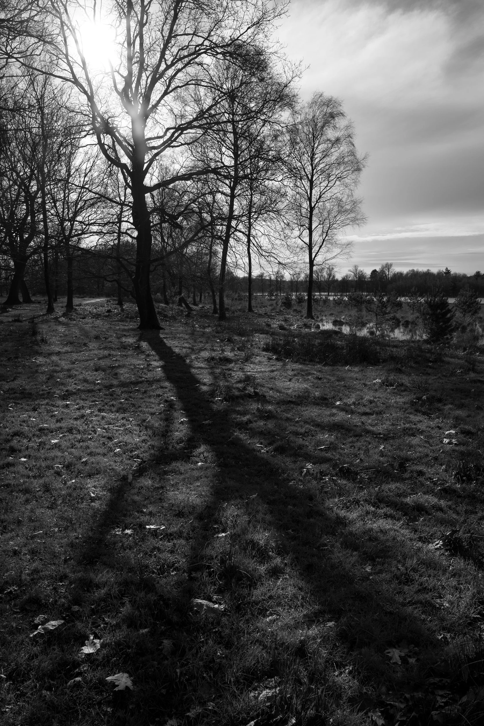 March, Leersumse Plassen, Utrecht, NL