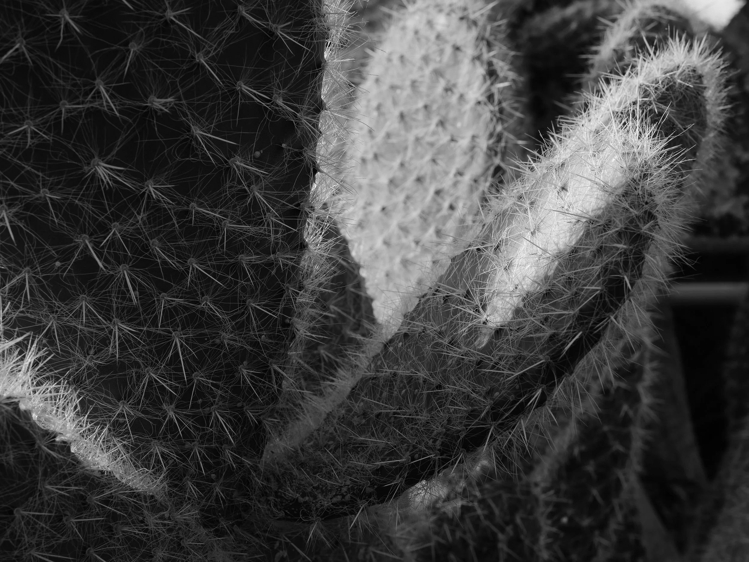 20221029-112926-LeicaLEICA Q2 MONO-Masters_Blog.jpg
