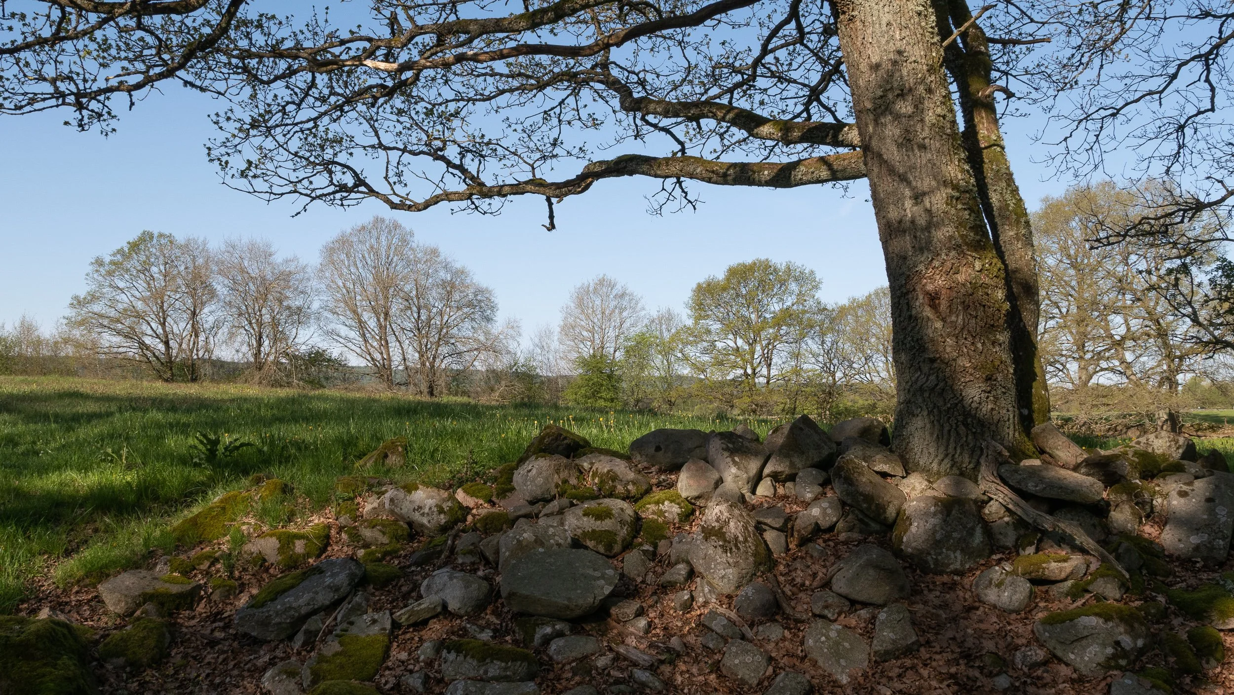 May, nature reserve, Sweden