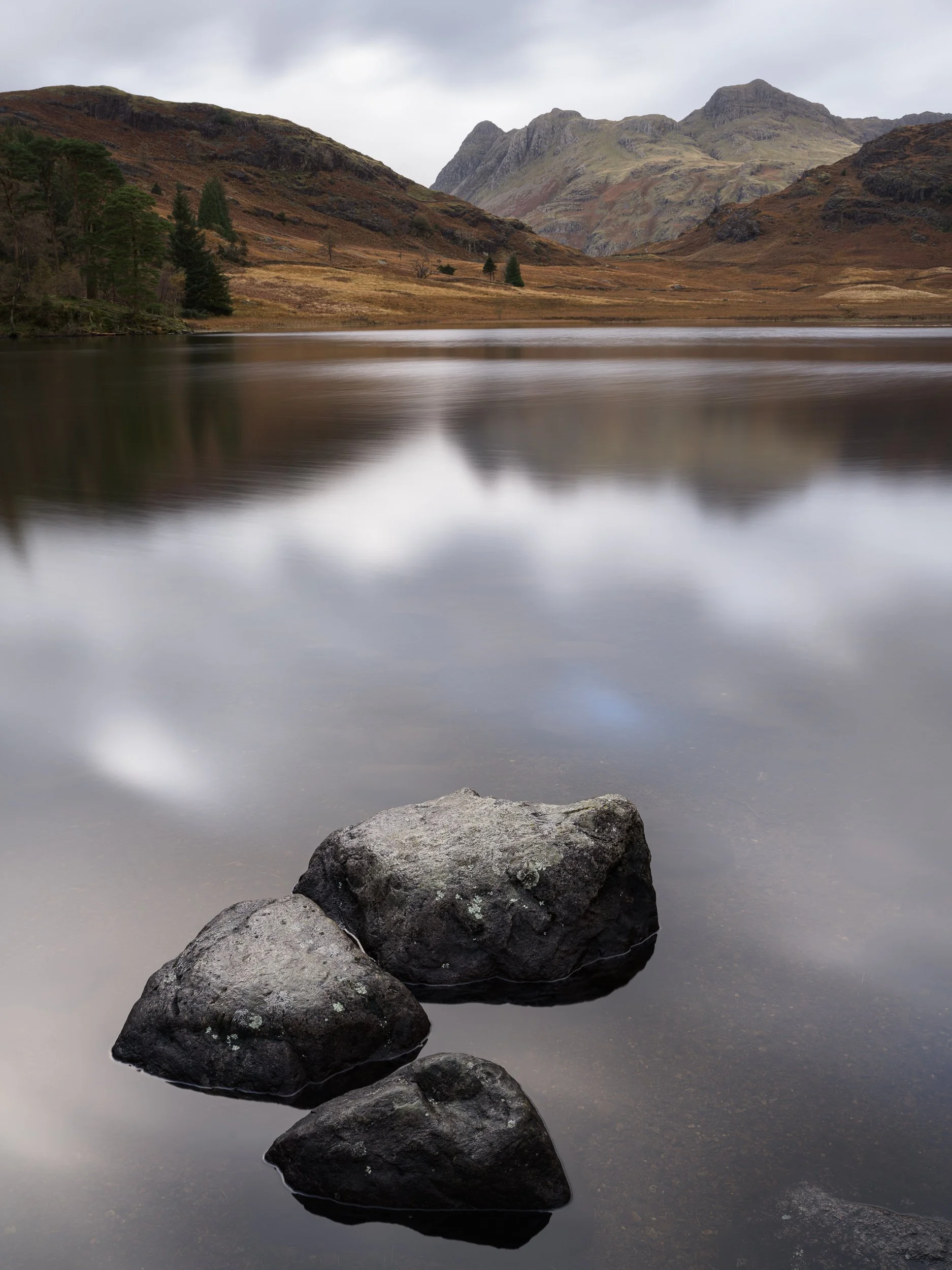 20241022-104952-HasselbladX2D 100C_Blog.jpg