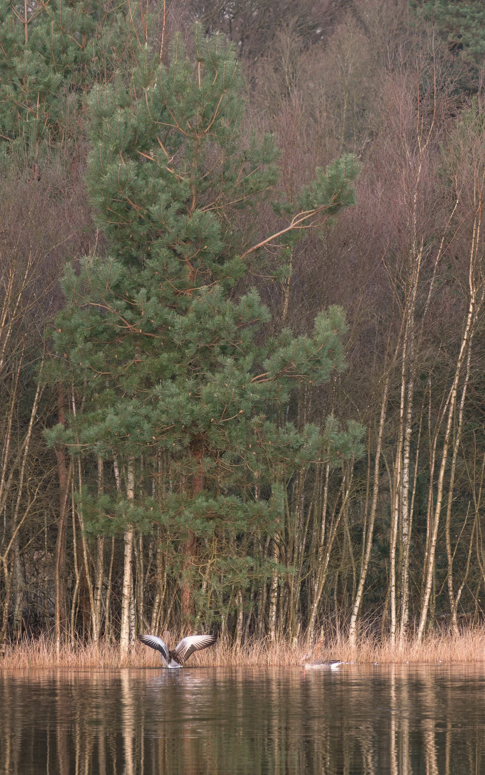 20240304-20240304-075558-FujifilmX-T5-untitled-DNG_Blog.jpg