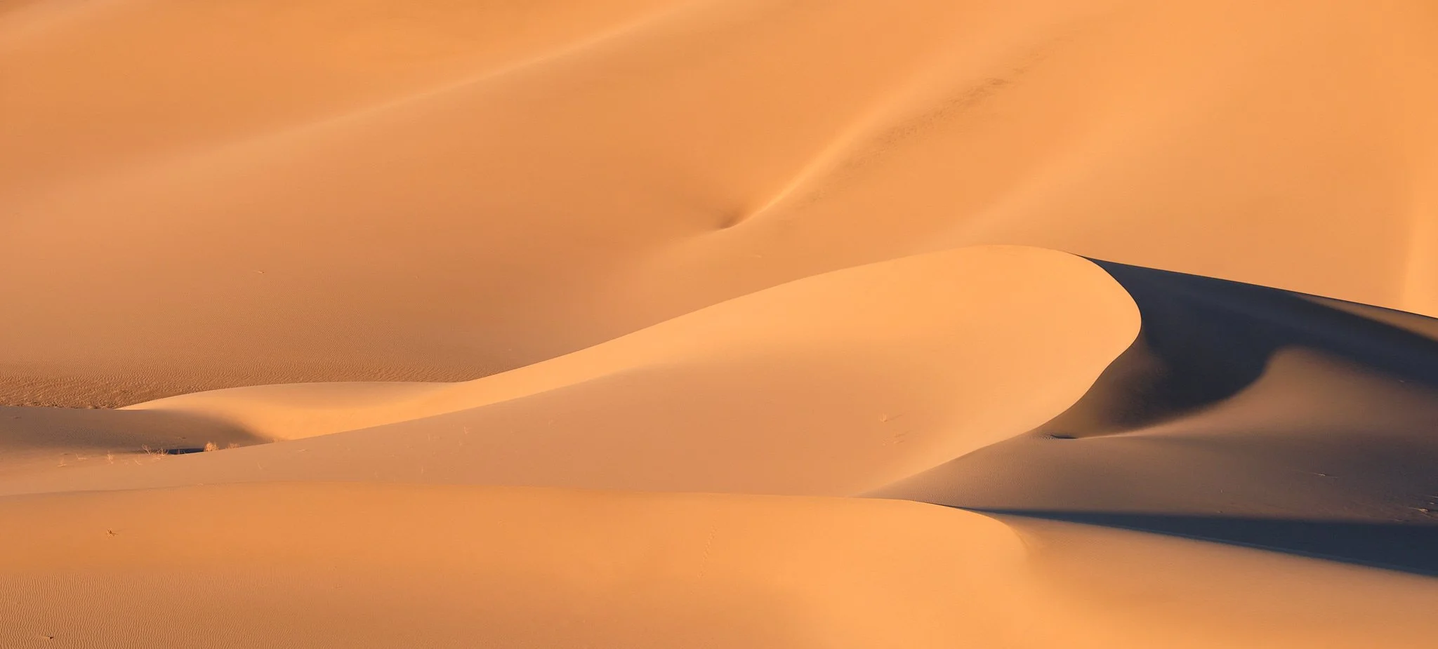 20181222_Death Valley 2018_0806.jpg