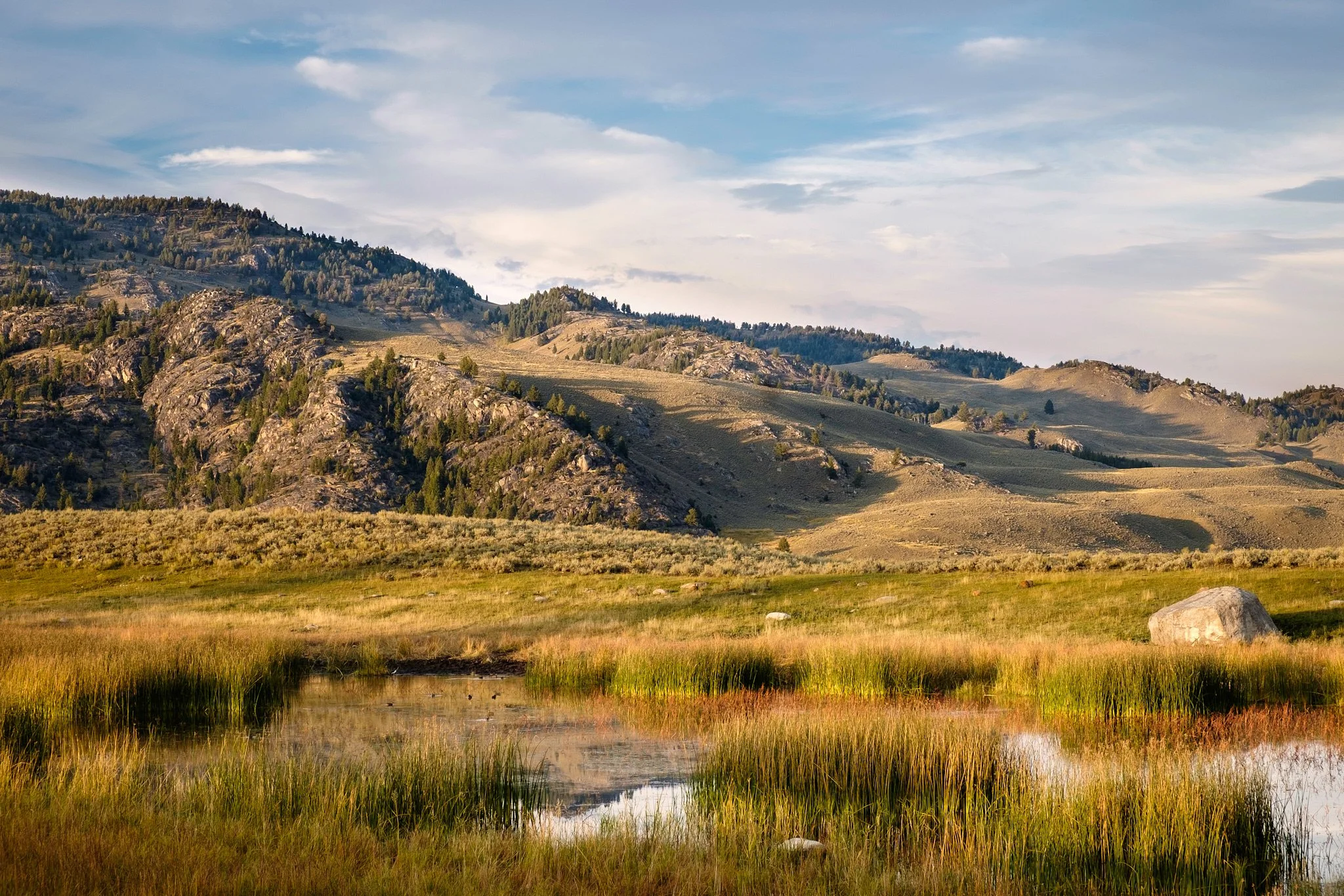 _Yellowstone 2014-111-20140909_Yellowstone-Grand_Tetons_0140.jpg