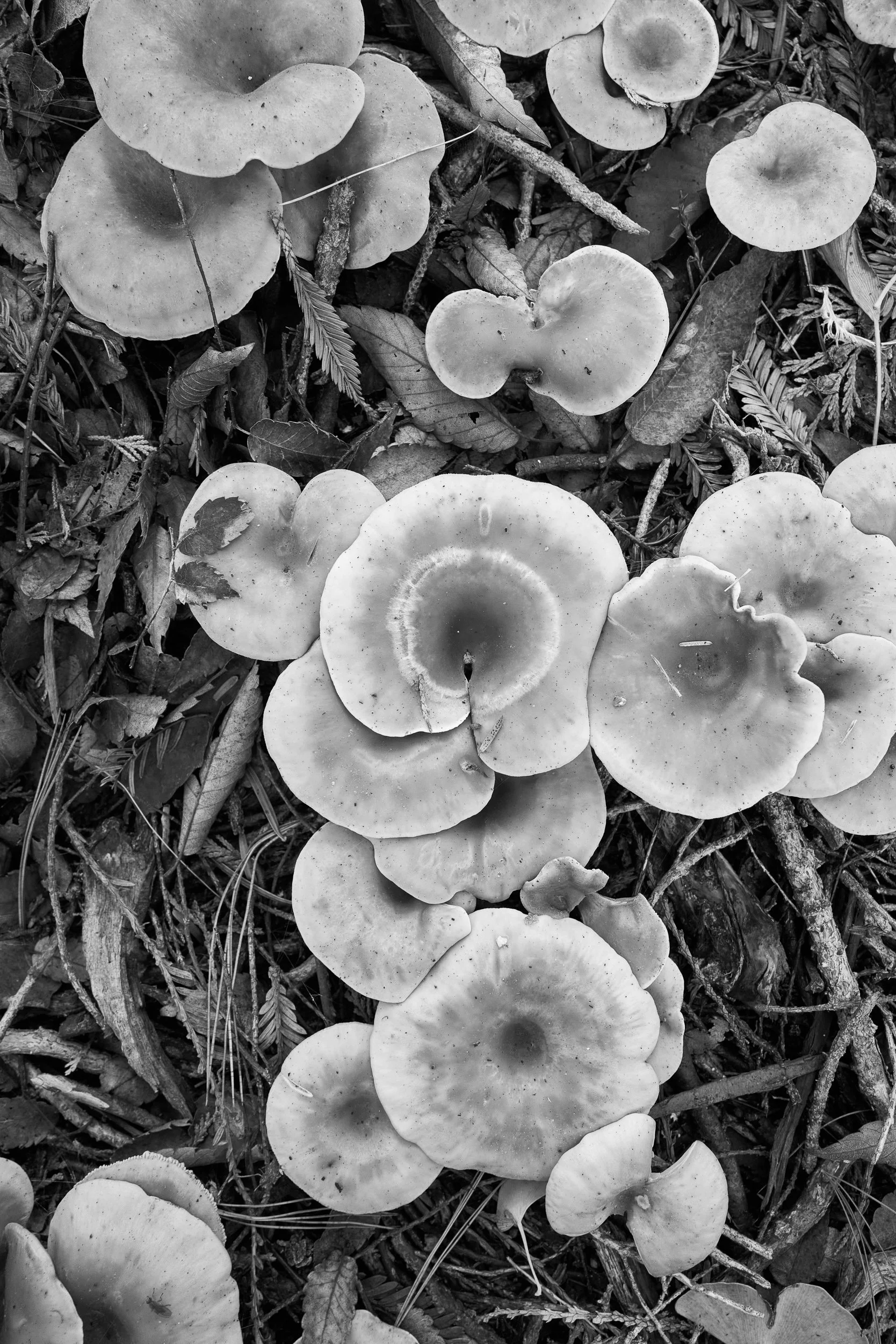 20221029-104234-LeicaLEICA Q2 MONO-Masters_Blog.jpg