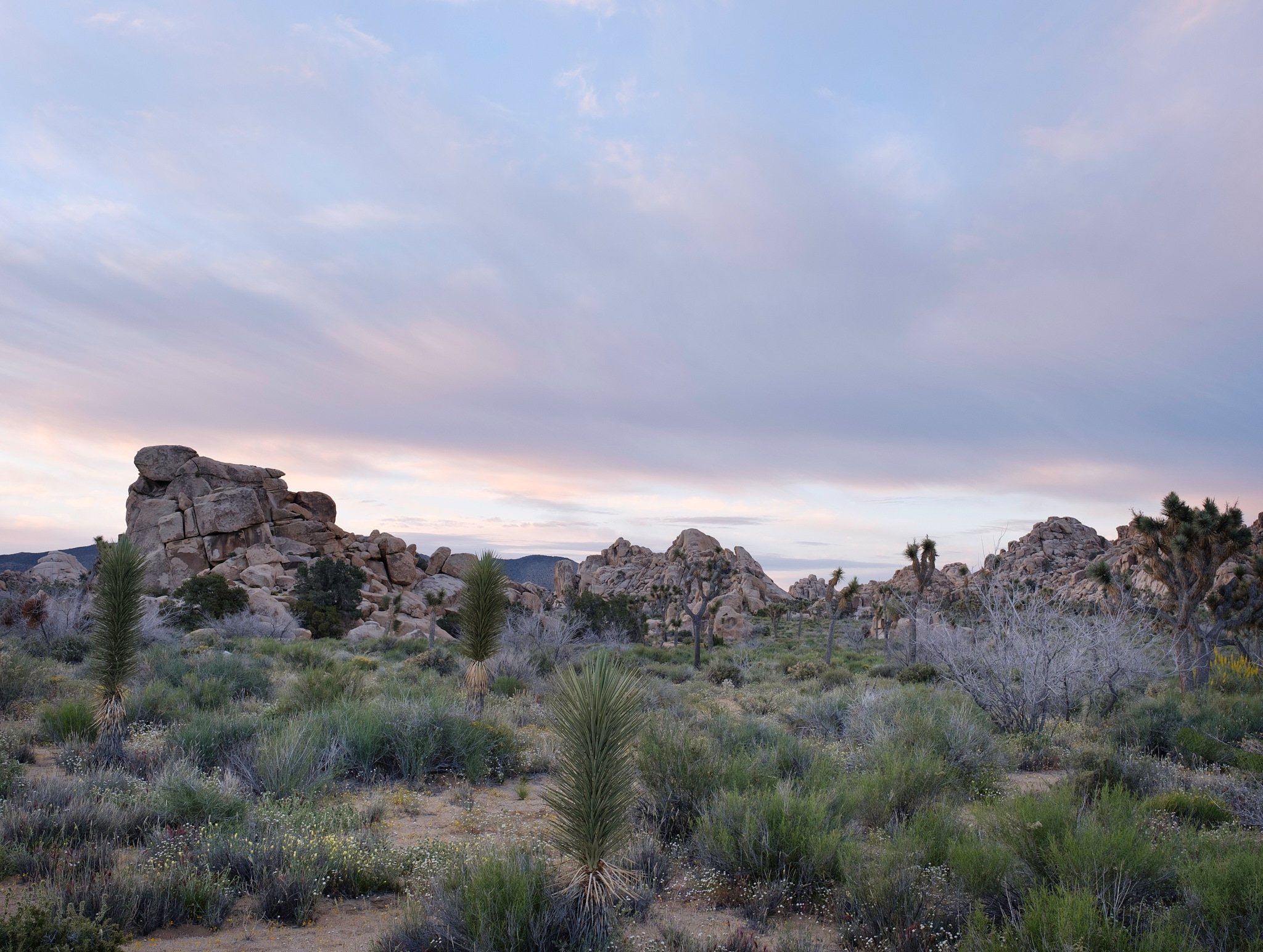 2017 - -6-20170508_2017 May Expedition_0163.jpg