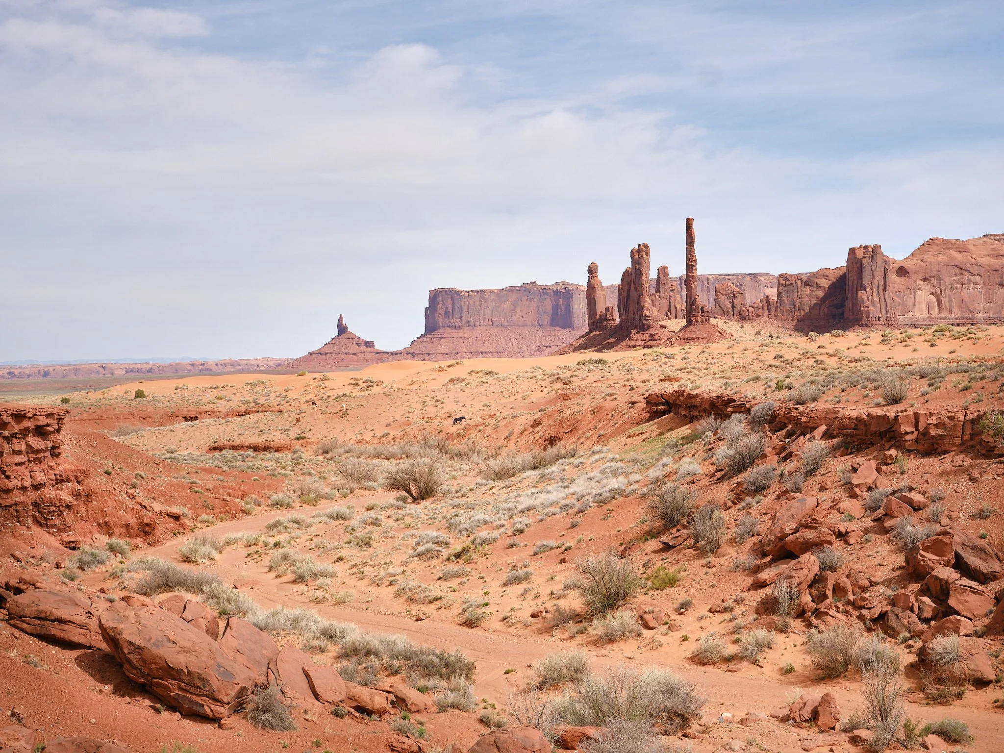 04 - 20230421__DSF0270.jpg