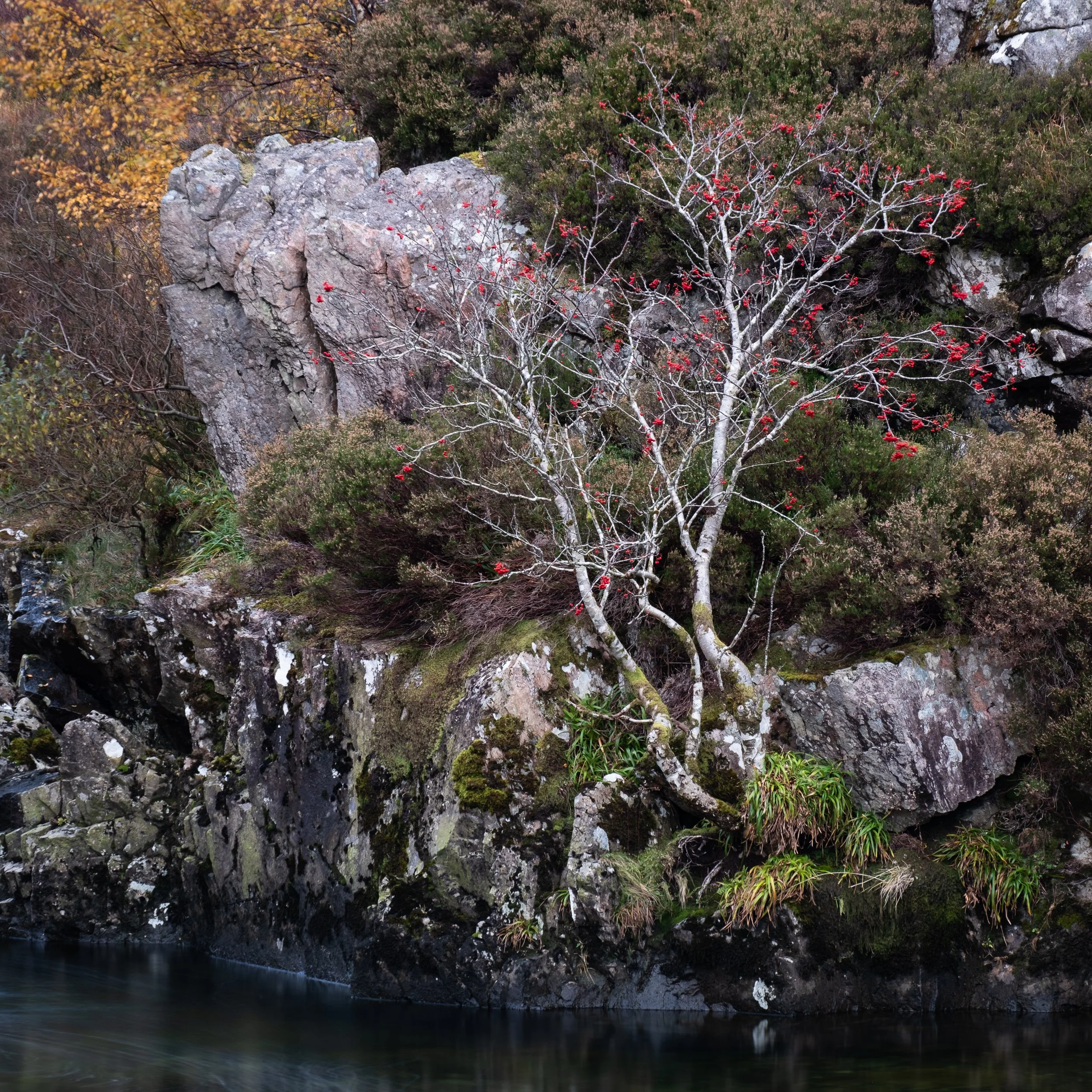 20241030-162940-FujifilmX-T5_Blog.jpg