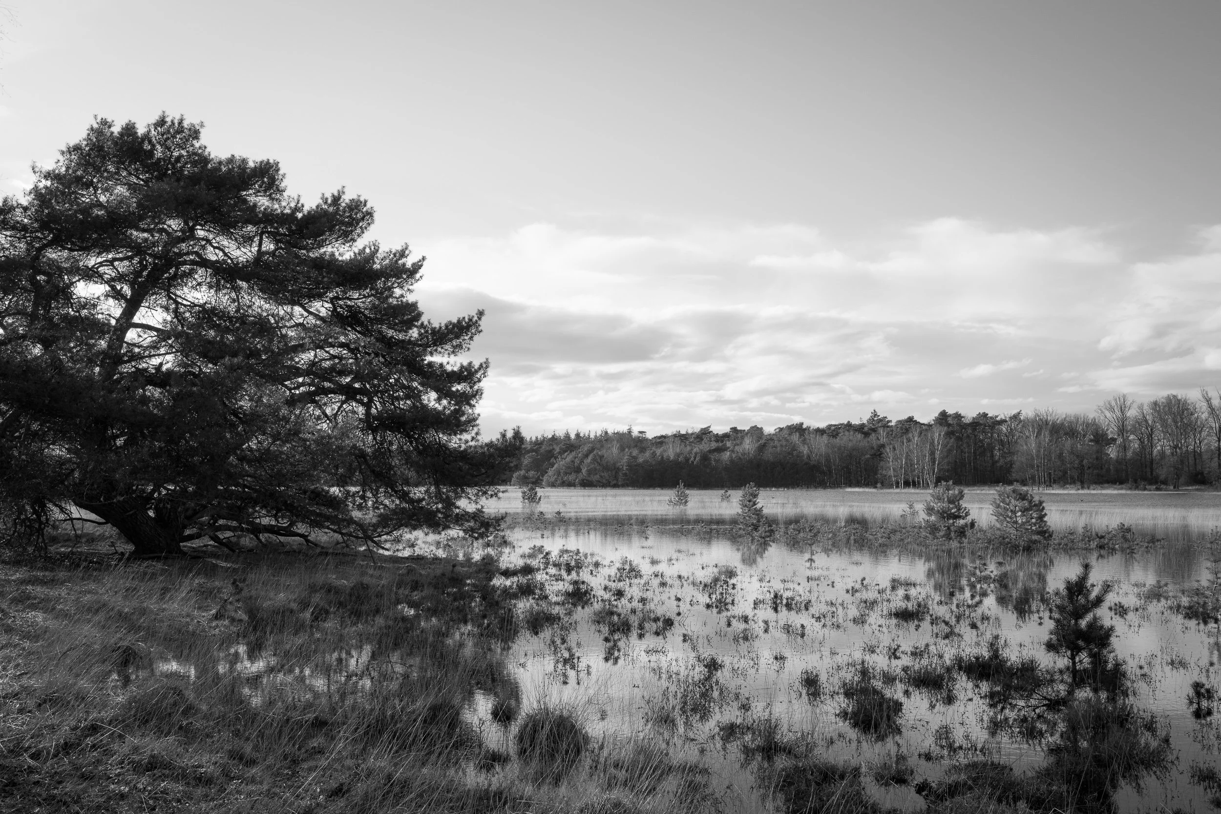 March, Leersumse Plassen, Utrecht, NL