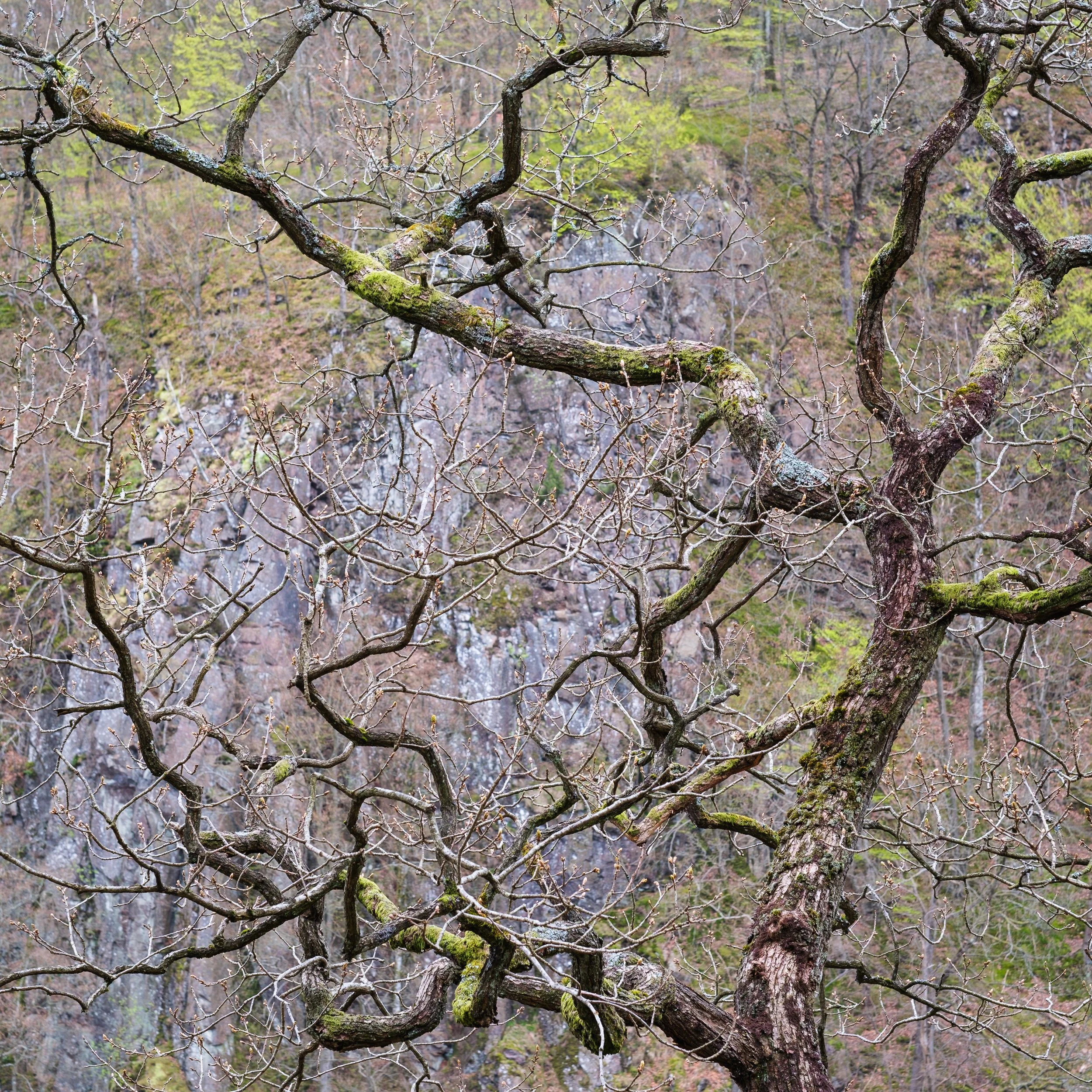 20240422-084611-FujifilmX-T5_Blog.jpg