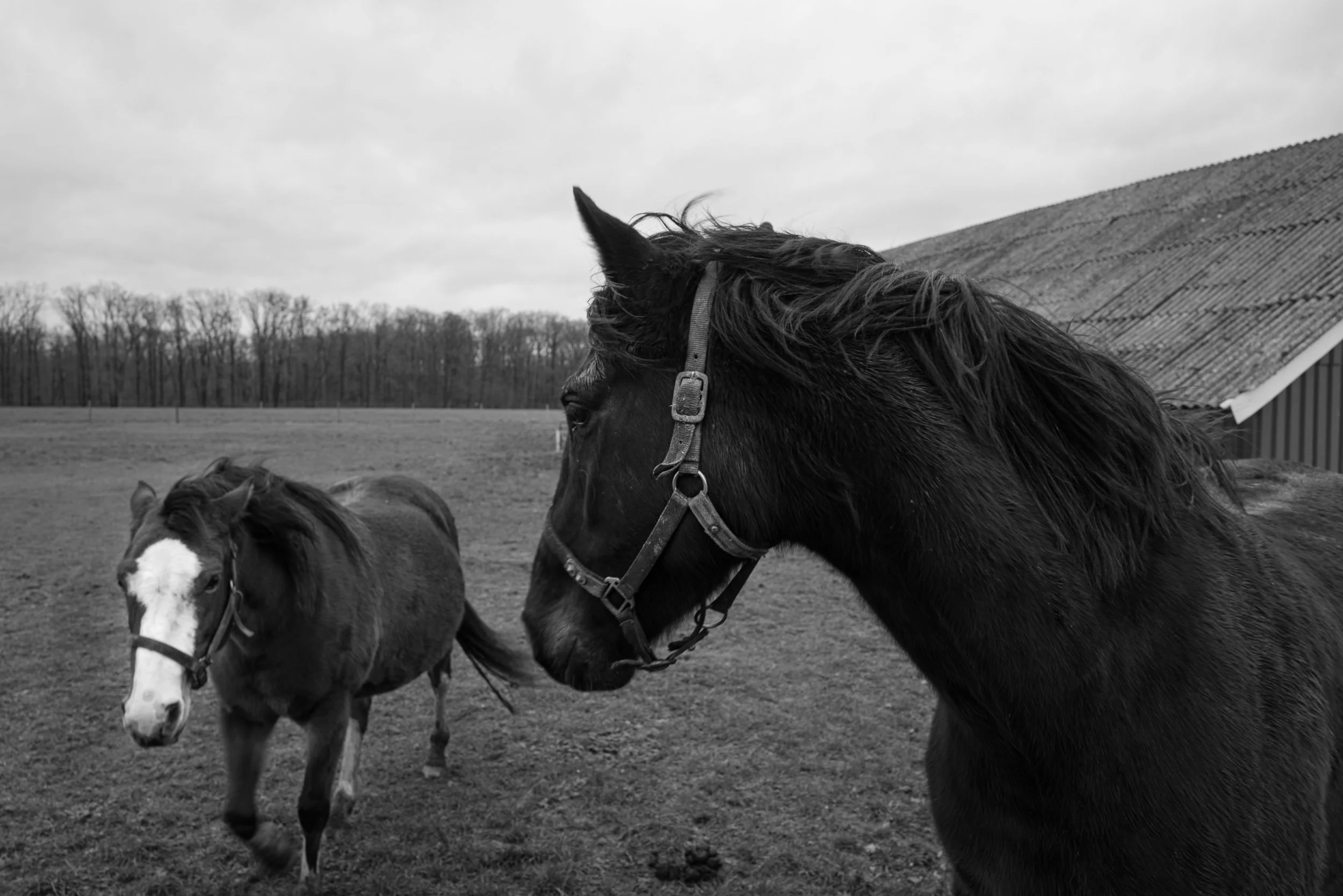 20231223-140552-LeicaLEICA Q2 MONO-untitled_Blog.jpg