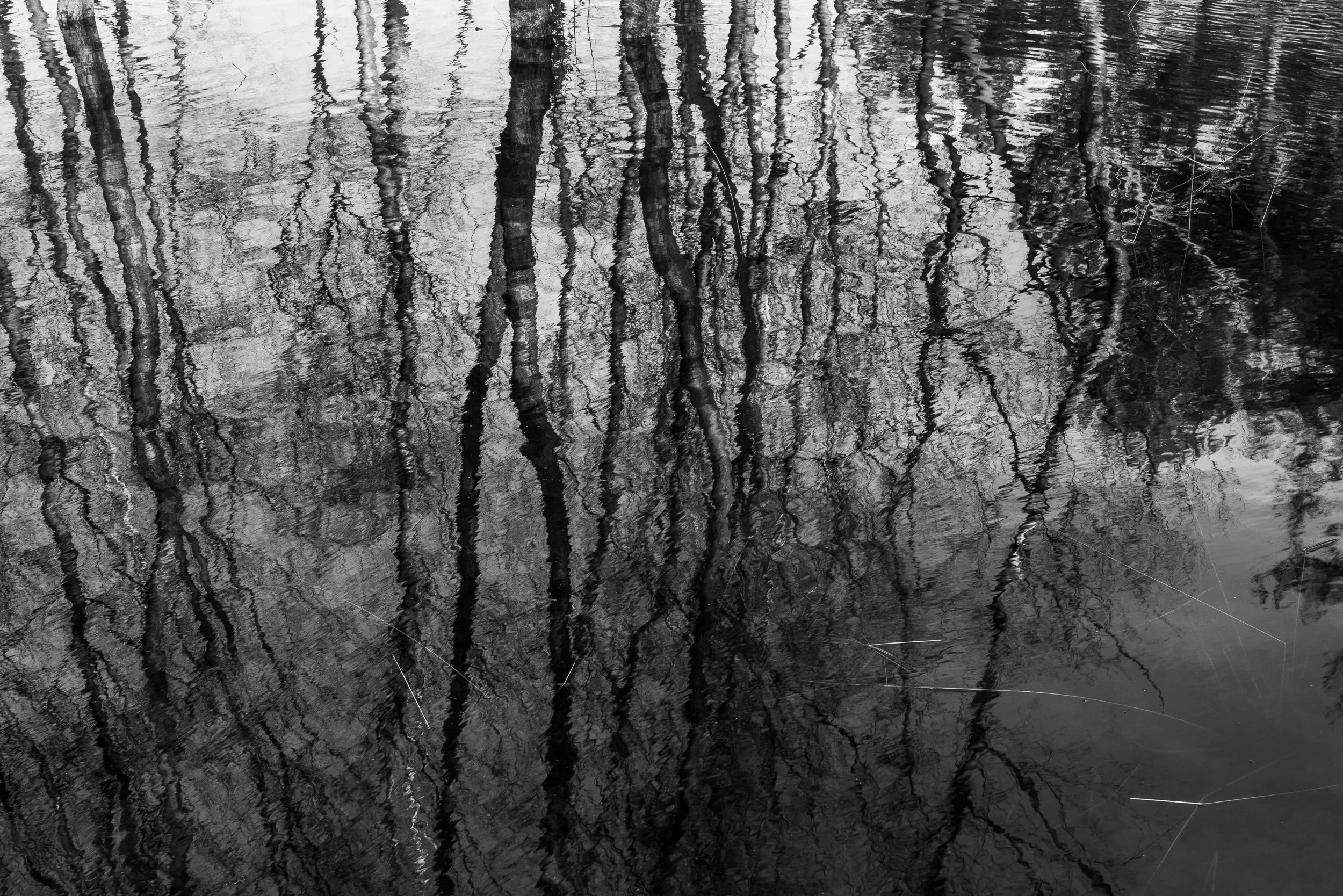 March, Leersumse Plassen, Utrecht, NL