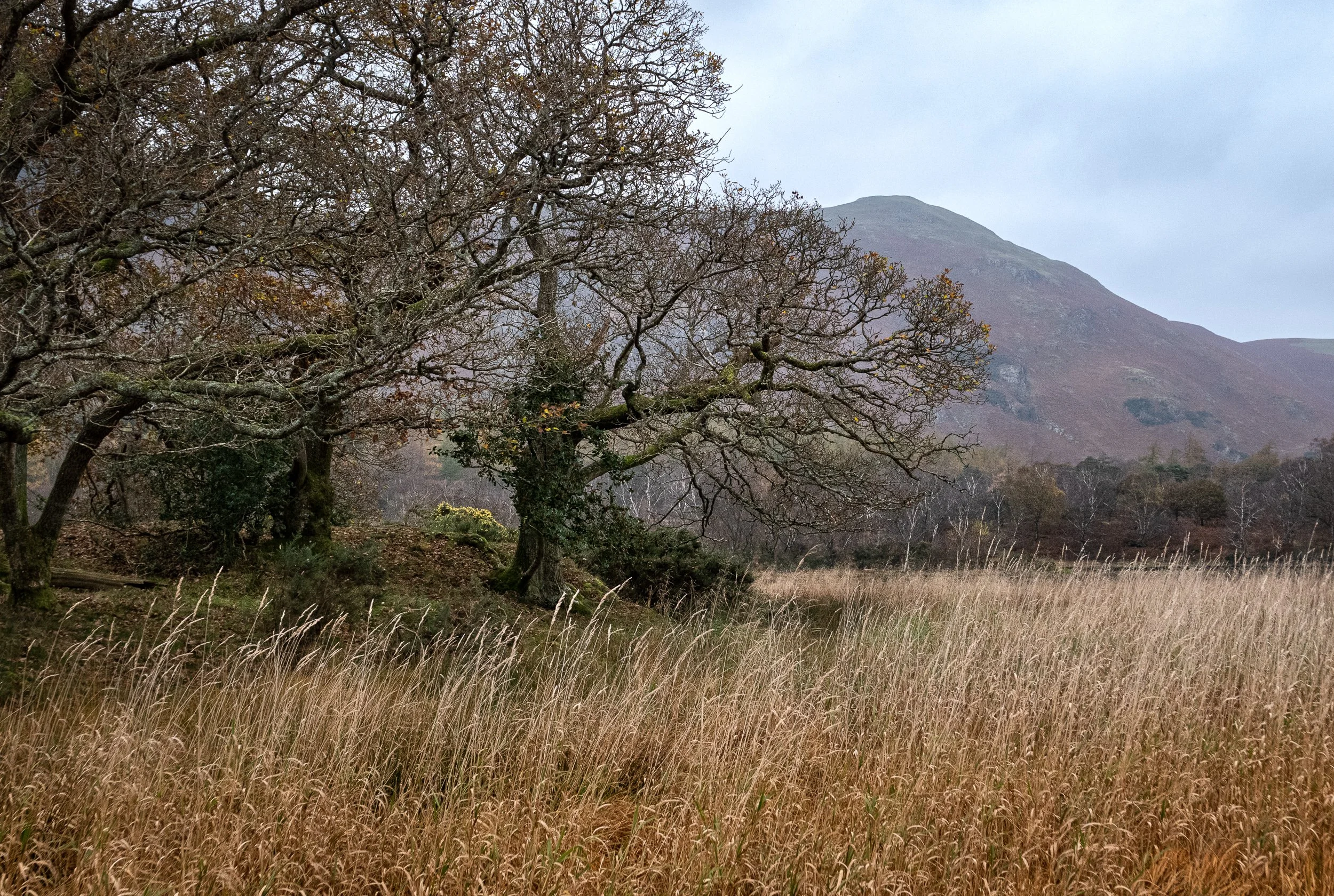 November, Borrowdale Lake walk, Lake District, England