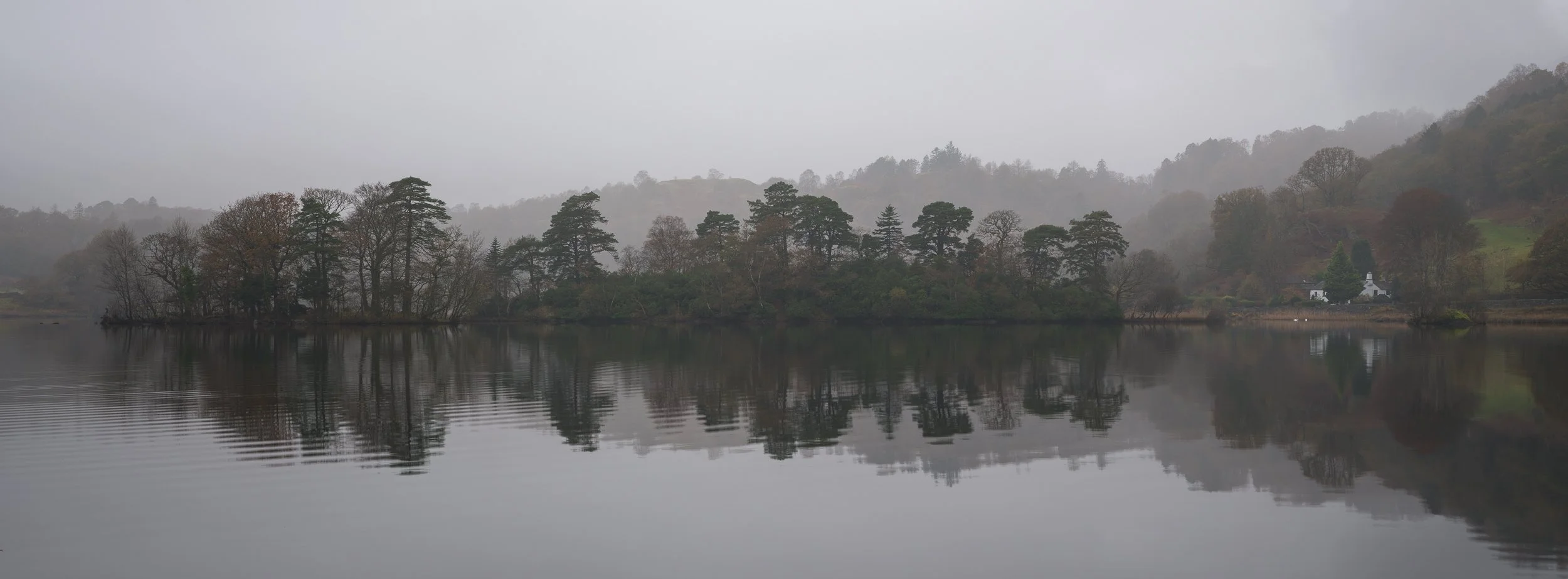 20241105-103143-HasselbladX2D 100C_Blog.jpg