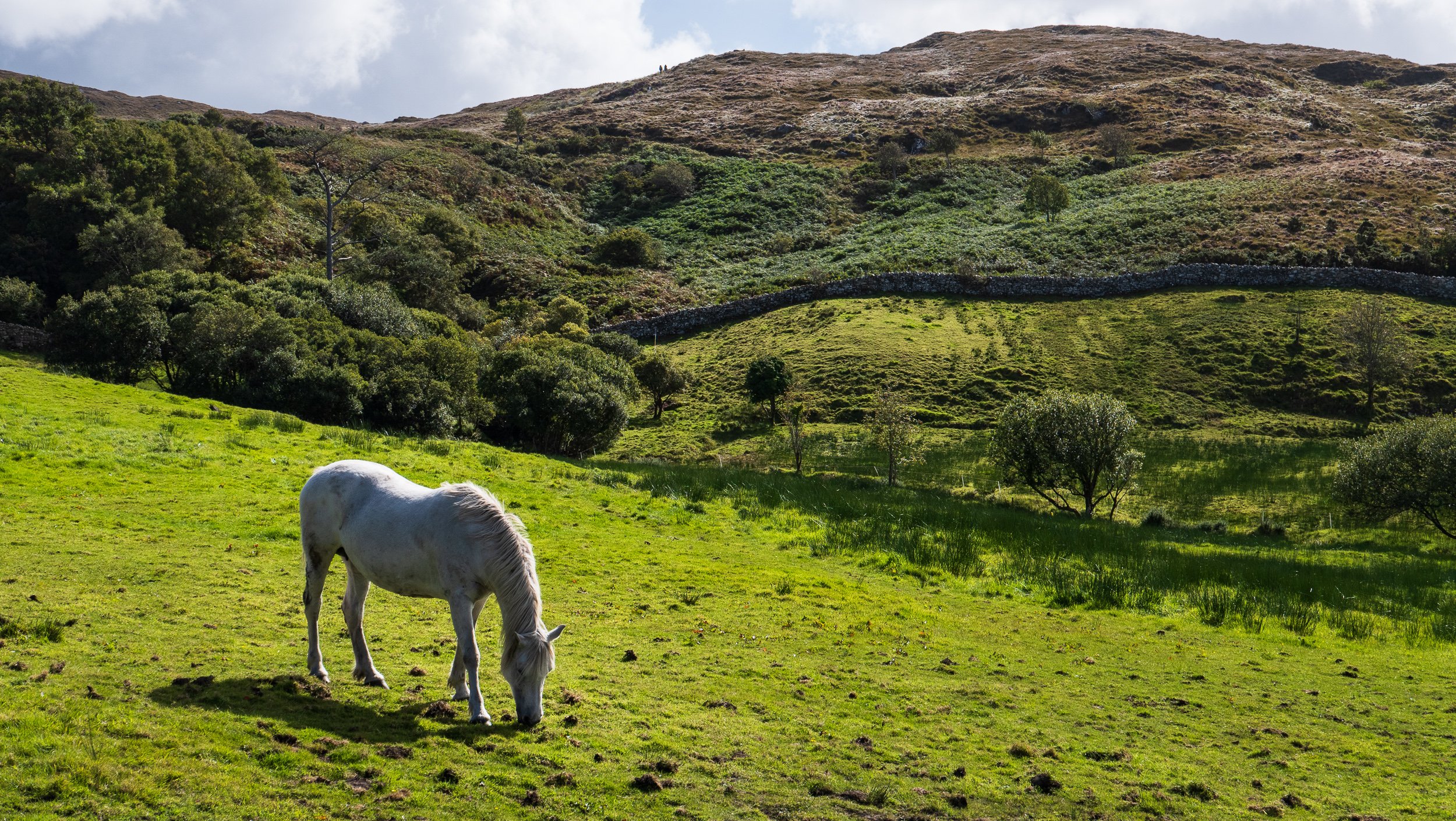 20240911-132338-LeicaLEICA D-Lux 8_Blog.jpg