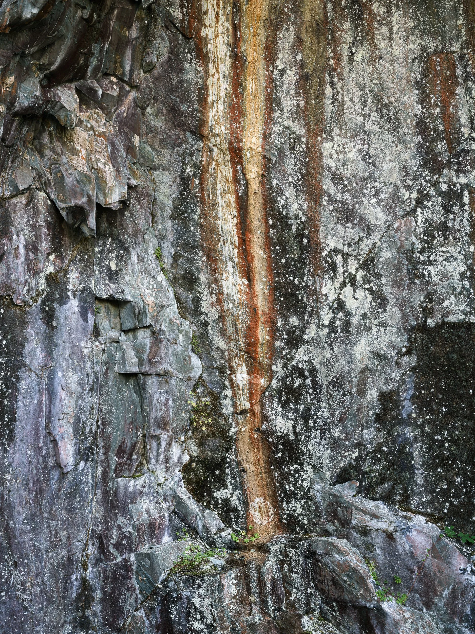 20241022-160147-HasselbladX2D 100C_Blog.jpg