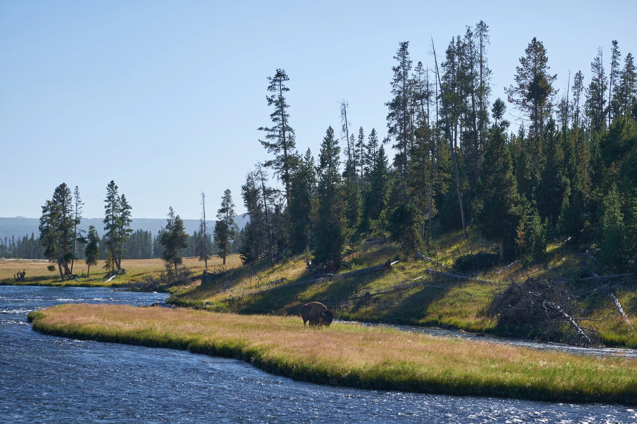 2014-09-03_17-07-32_Yellowstone.jpg