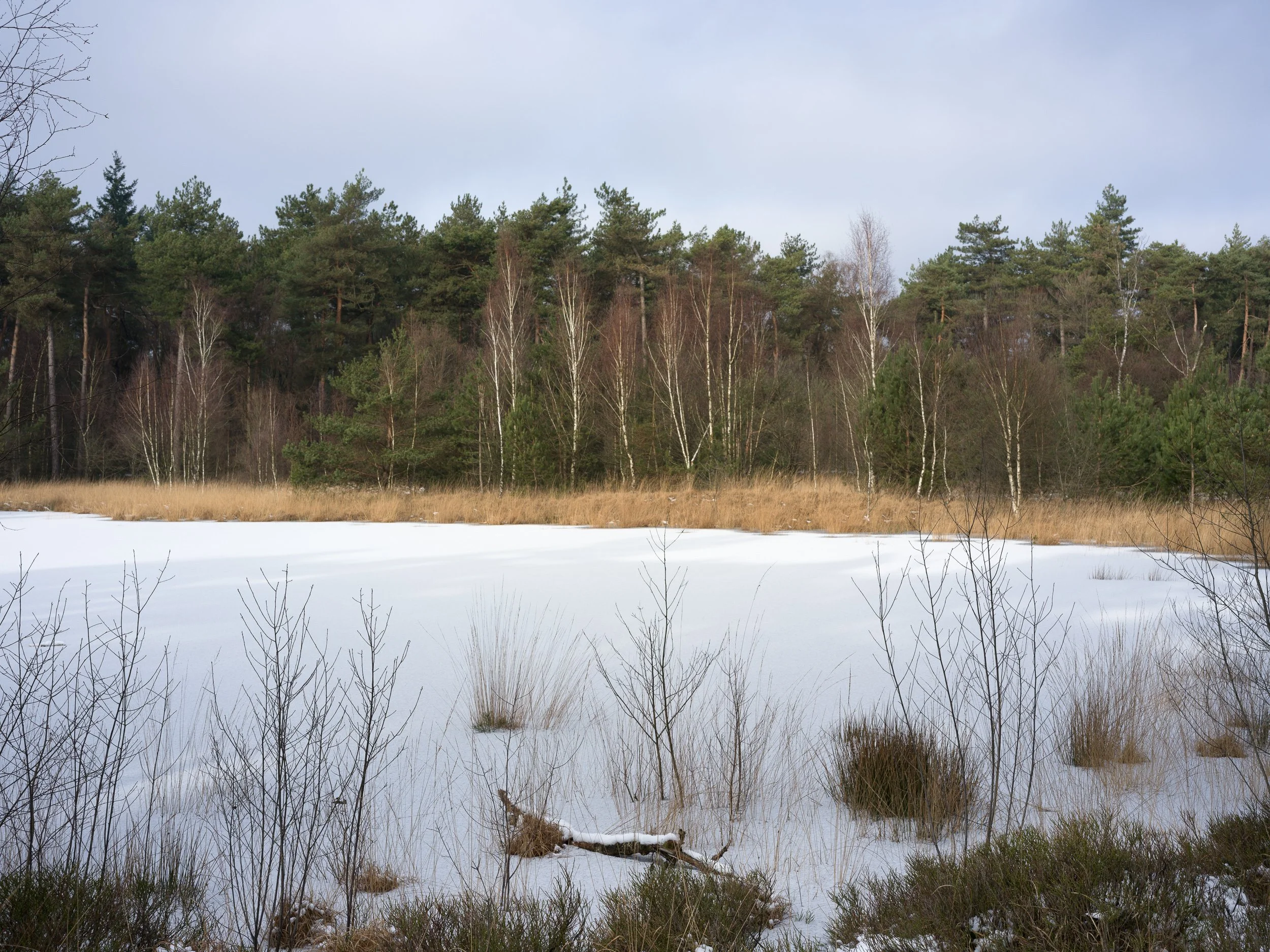 January, Oisterwijk, NL