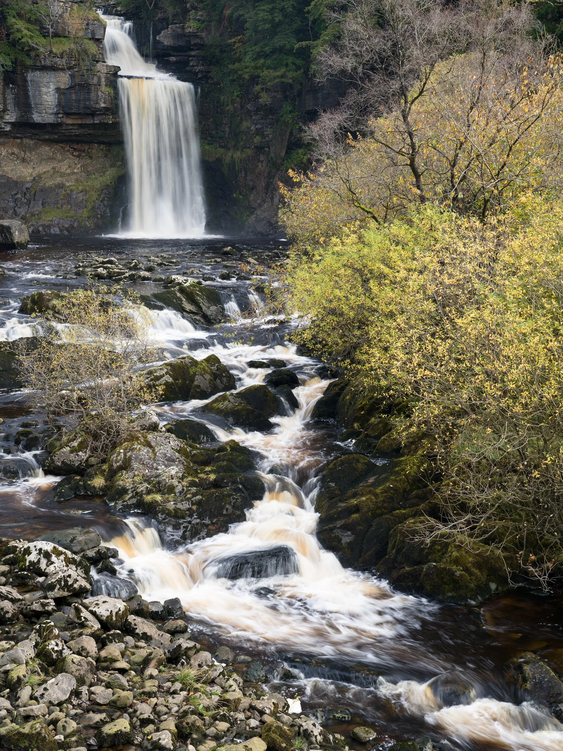 20241023-132243-HasselbladX2D 100C_Blog.jpg