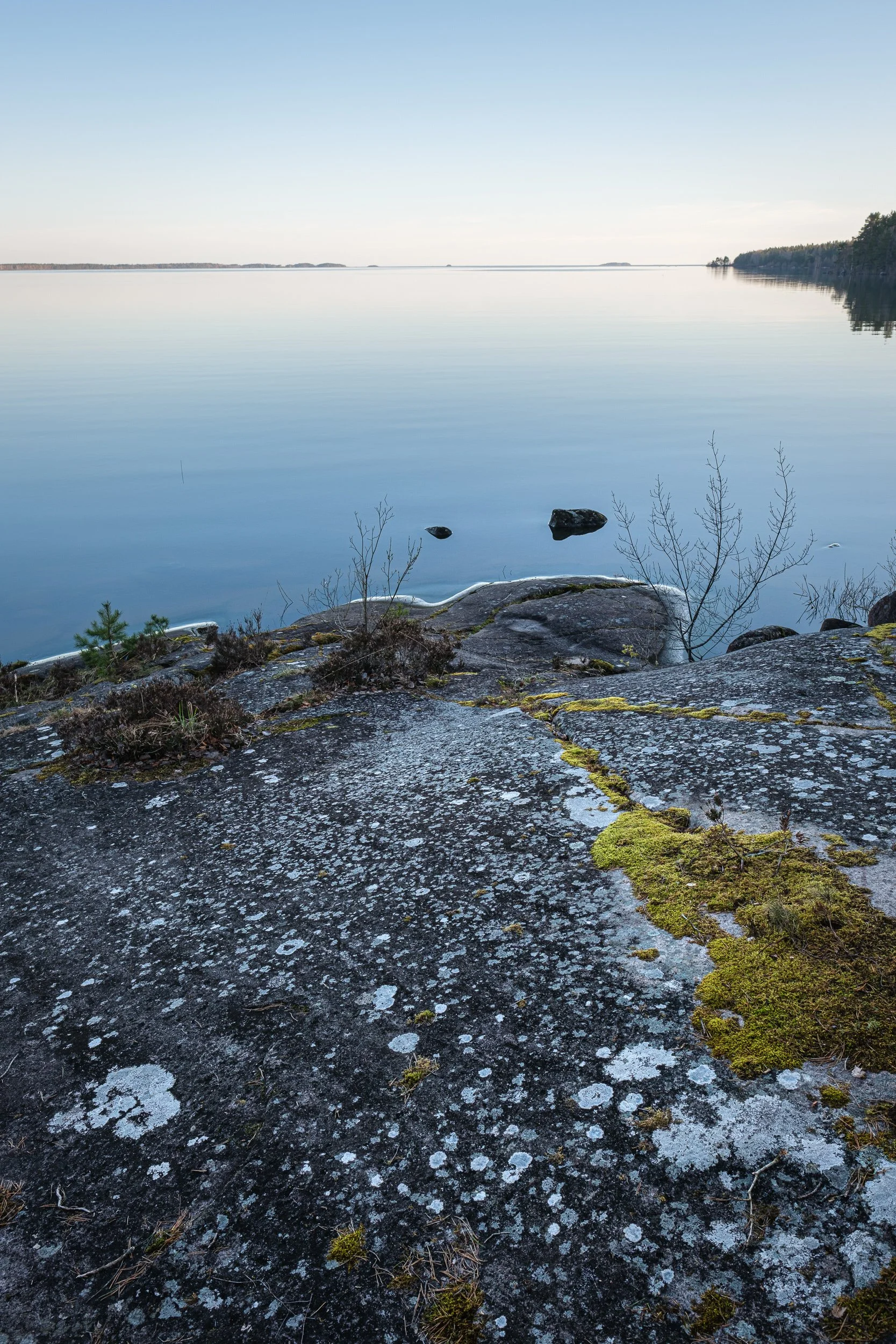 April, nature preserve, Sweden