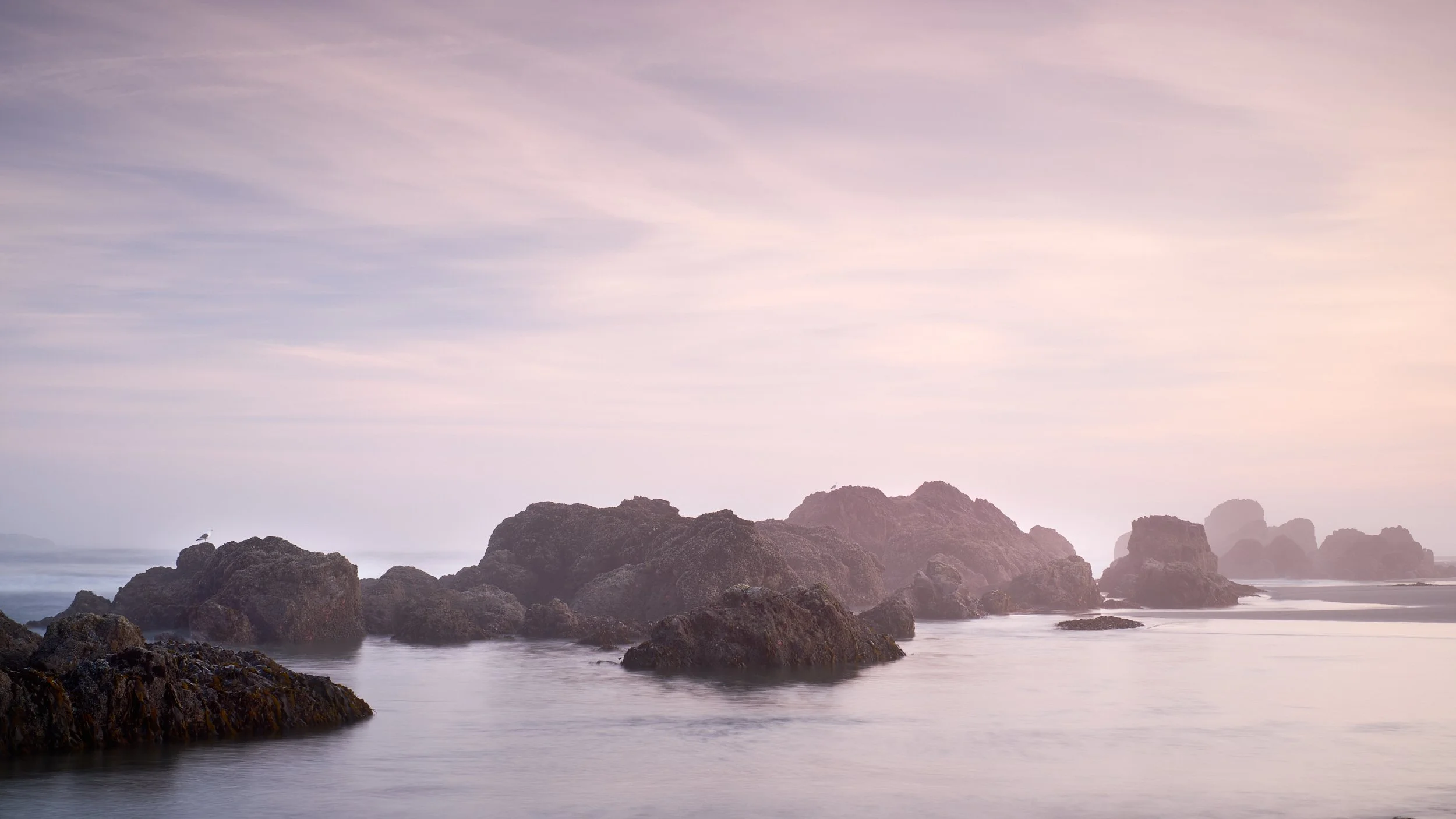 2015-07-16_06-06-10_SealRock.jpg