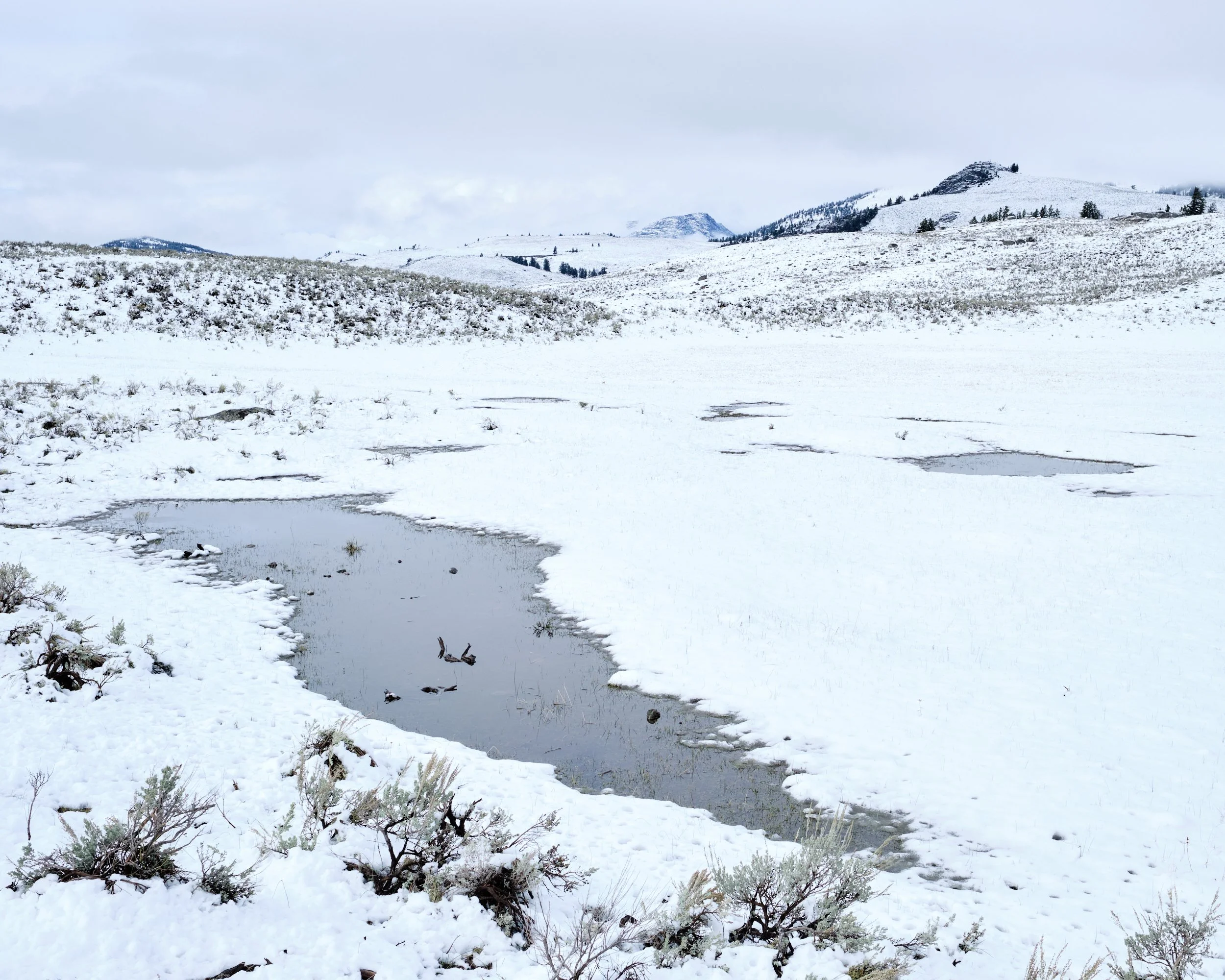 2017-09-22_13-49-26_Yellowstone.jpg