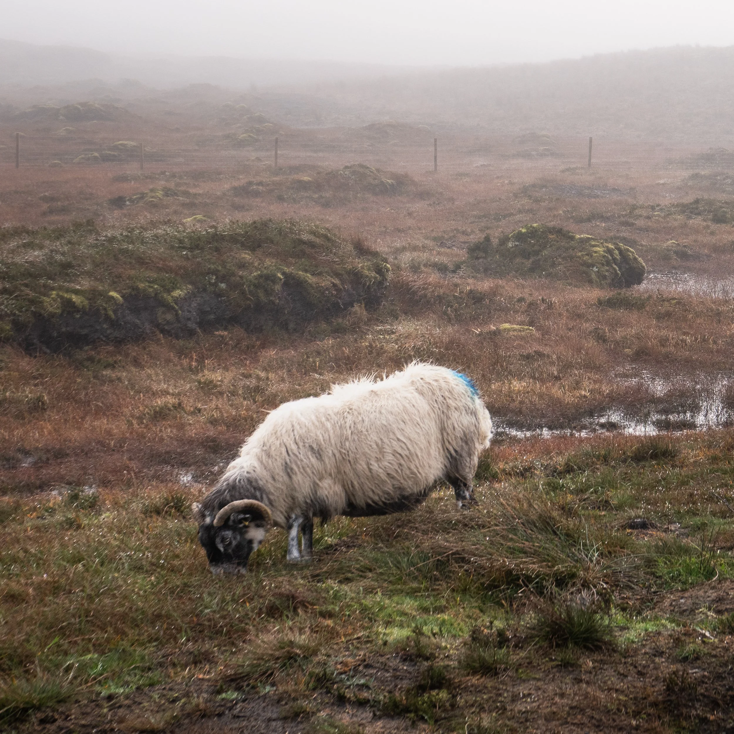 October, Isle of Skye, Scotland