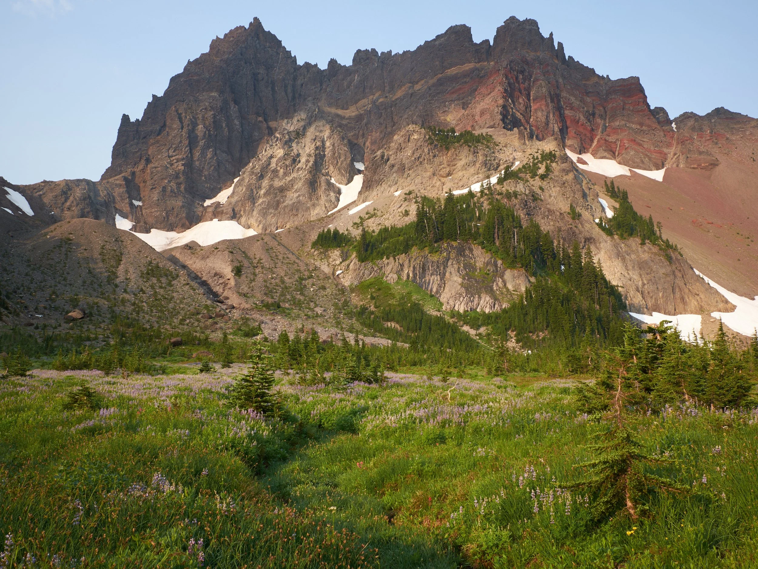 2014-08-02_07-40-11_ThreeFingeredJack 1.jpg