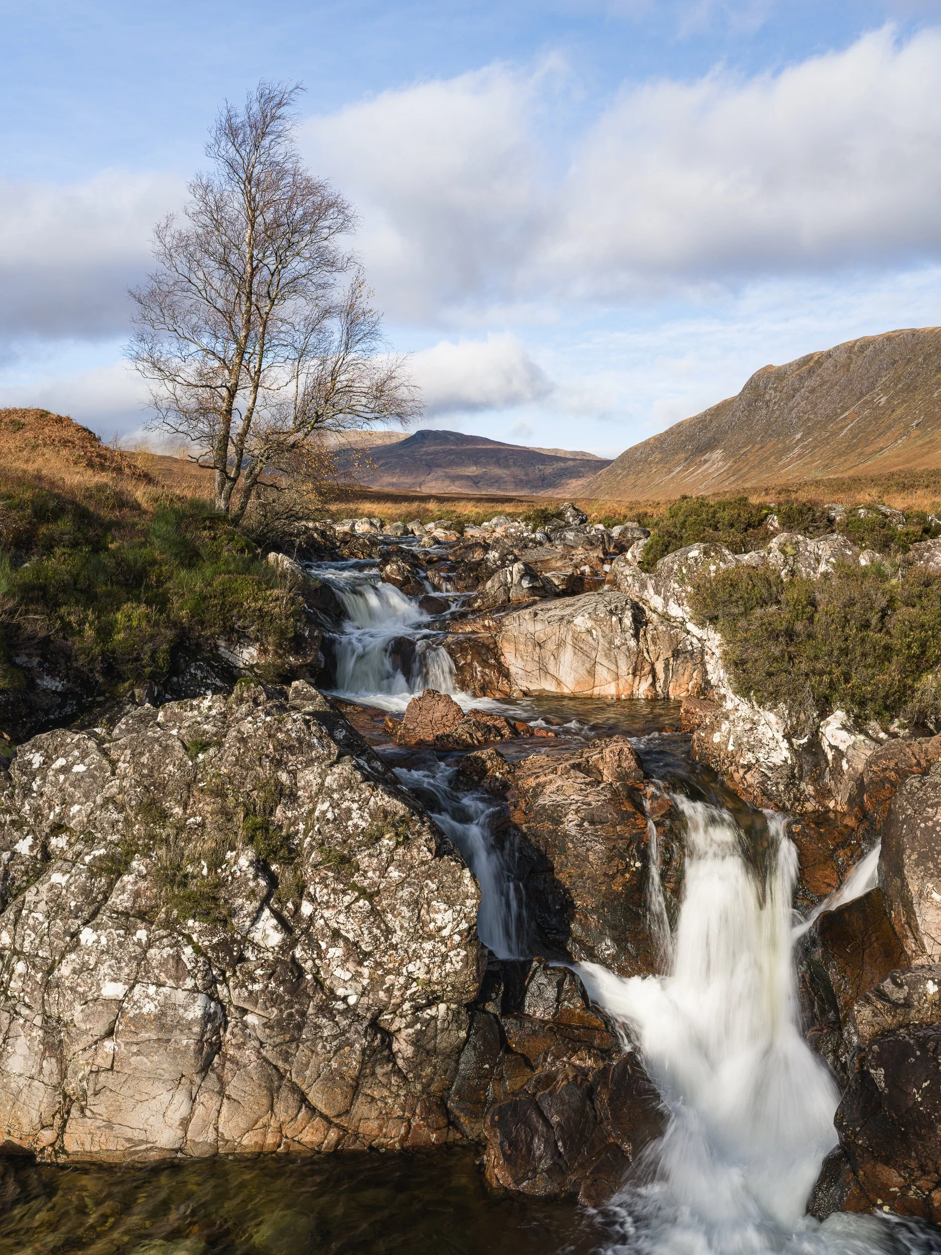 20241030-110706-HasselbladX2D 100C_Blog.jpg