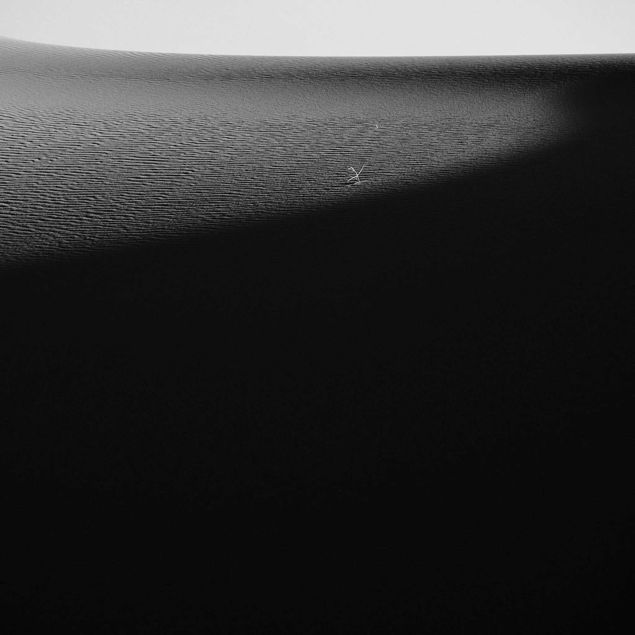 06 - 20181222_Death Valley 2018_0784.jpg