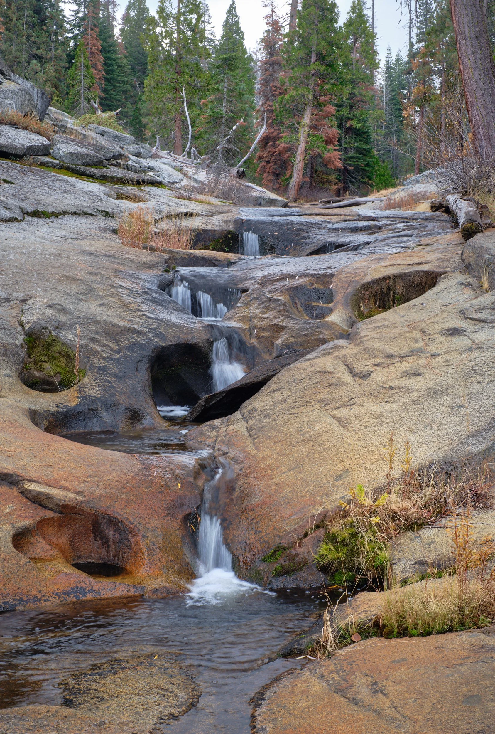 2016-11-16_11-48-24_KingsCanyon.jpg