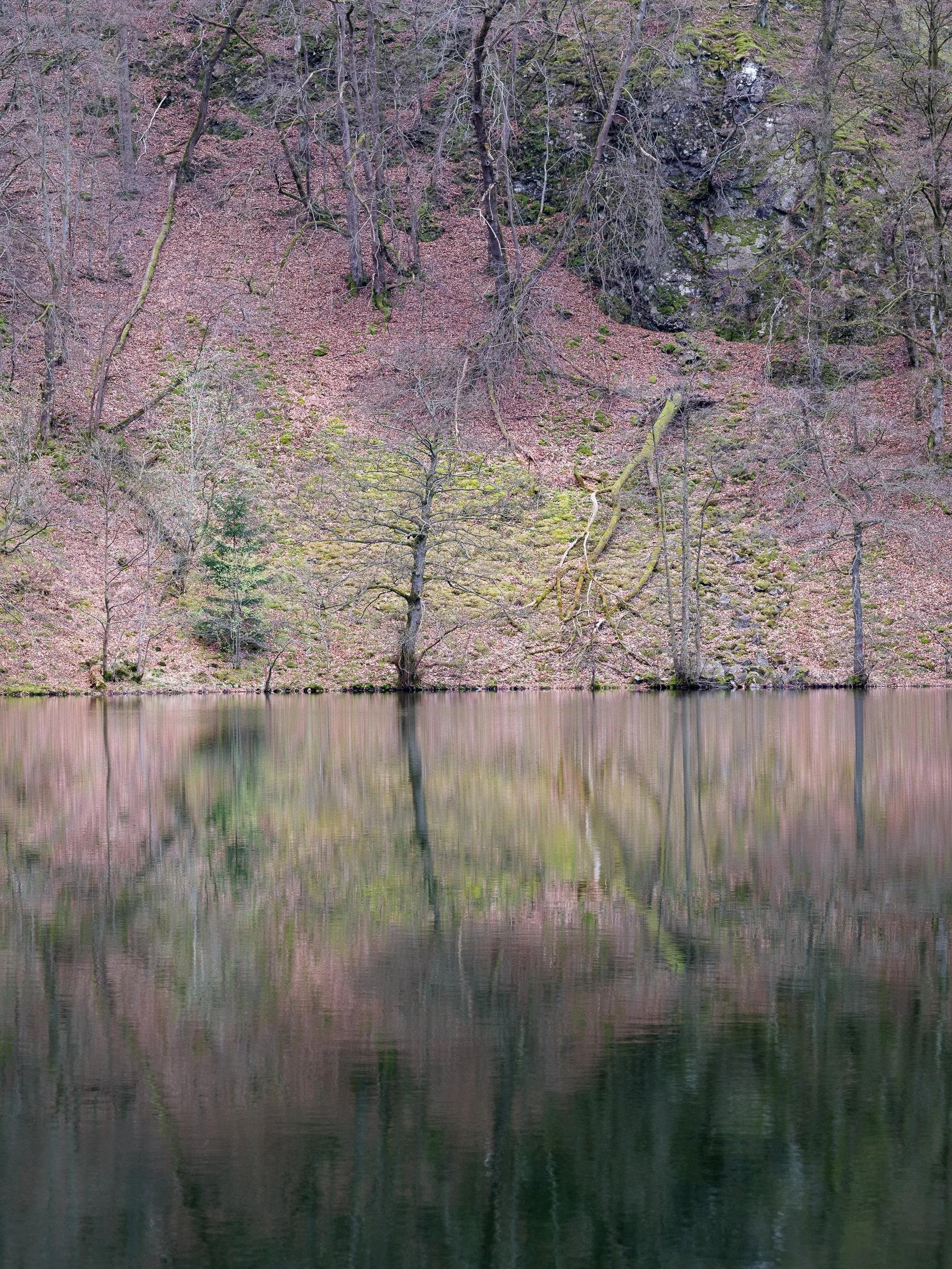 20240422-152448-FujifilmX-T5_Blog.jpg