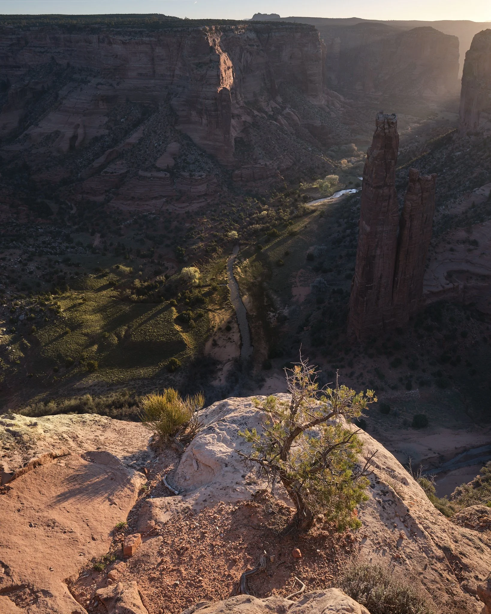 03 - 20230421__DSF0190.jpg