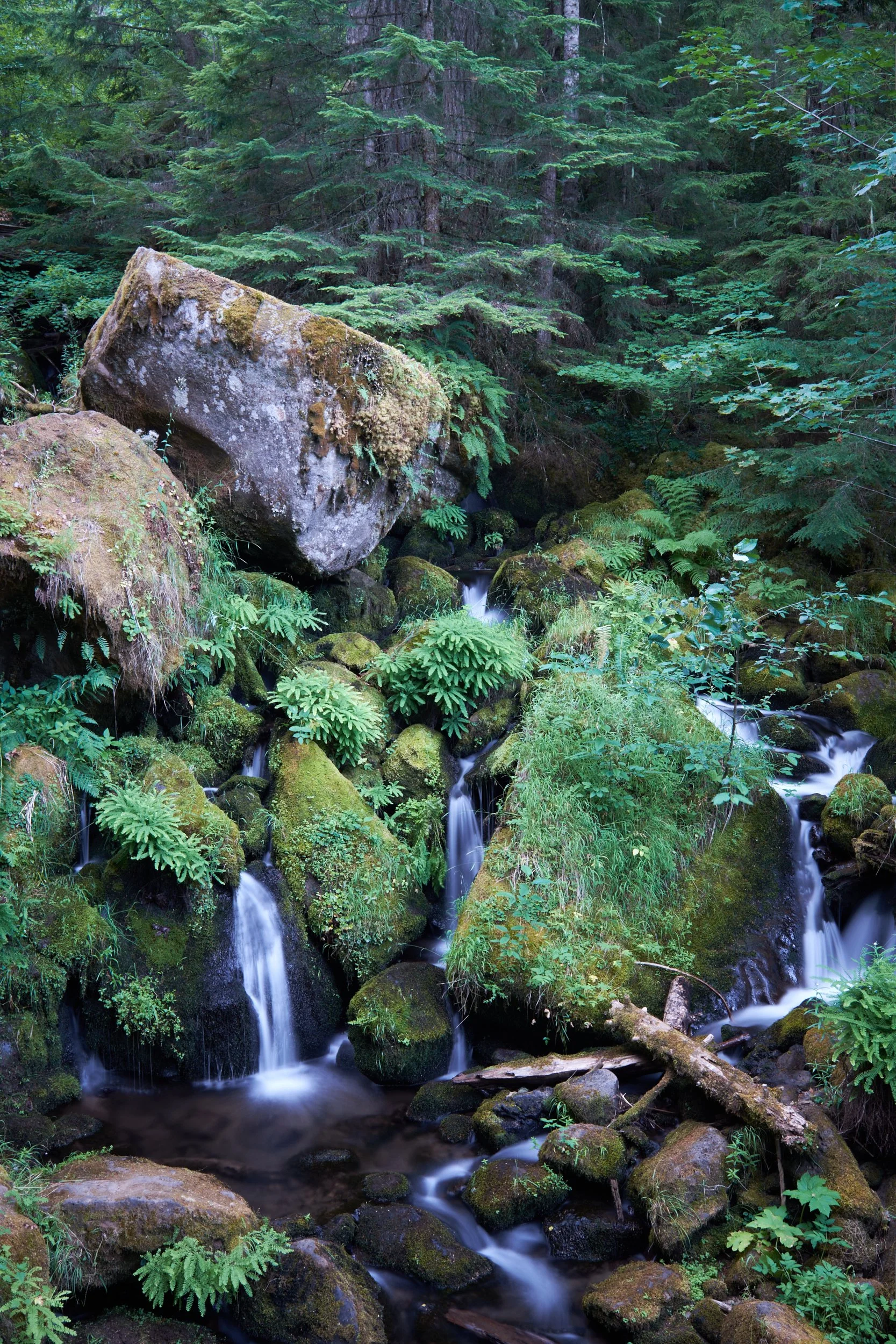 2016-08-06_07-39-26_NorthUmpqua.jpg