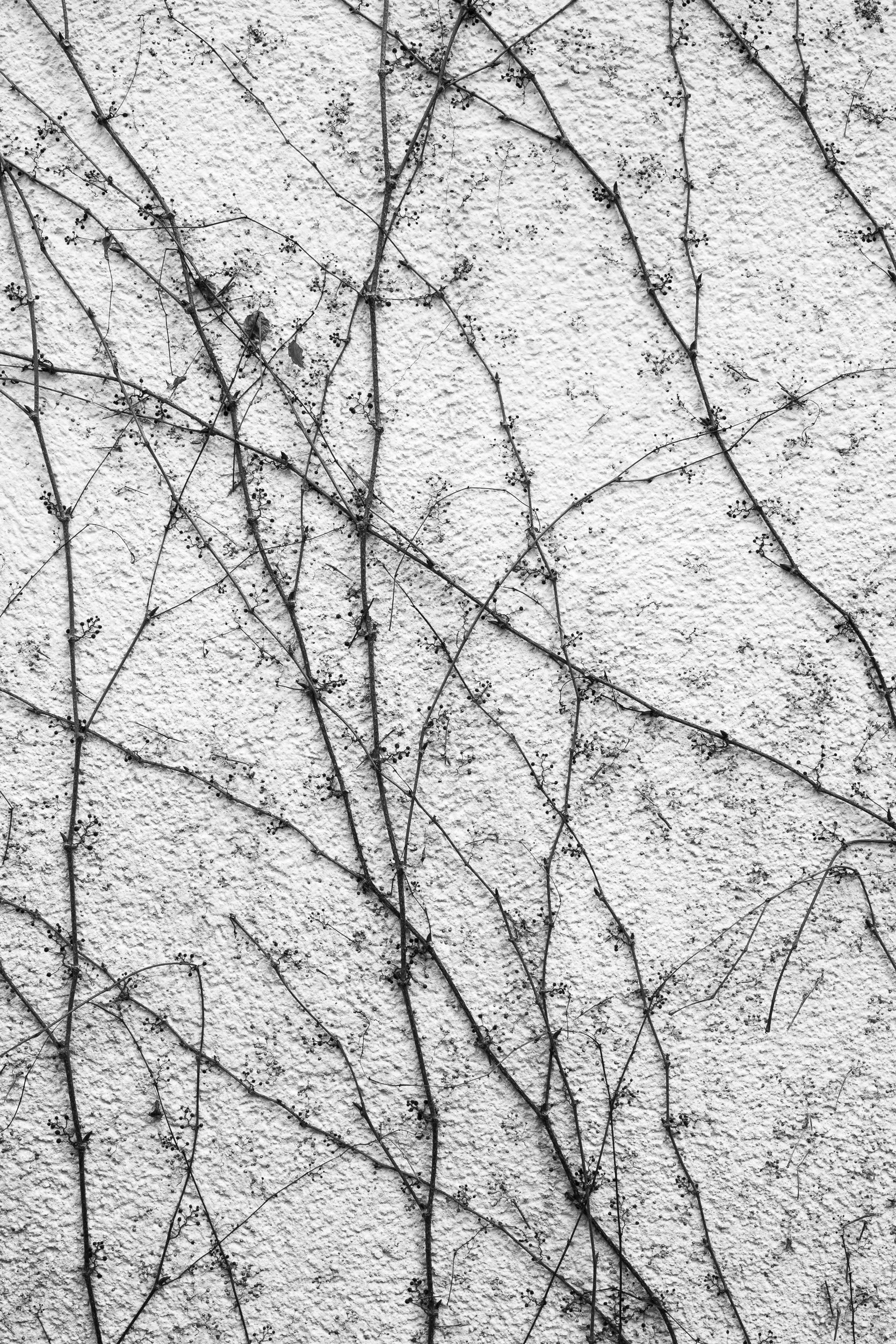 20240319-124707-Leica-LEICA Q2 MONO_Blog.jpg