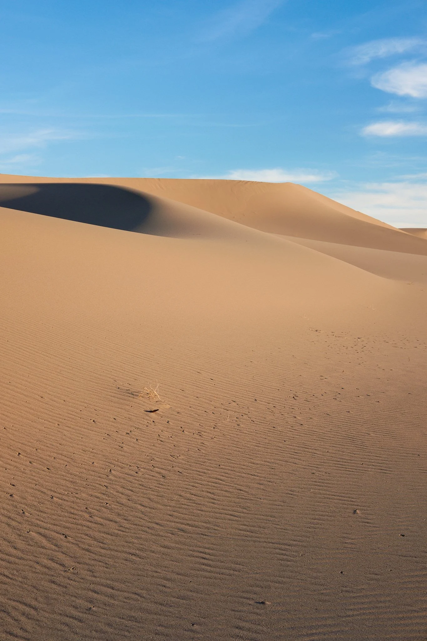 20181222_Death Valley 2018_0752.jpg