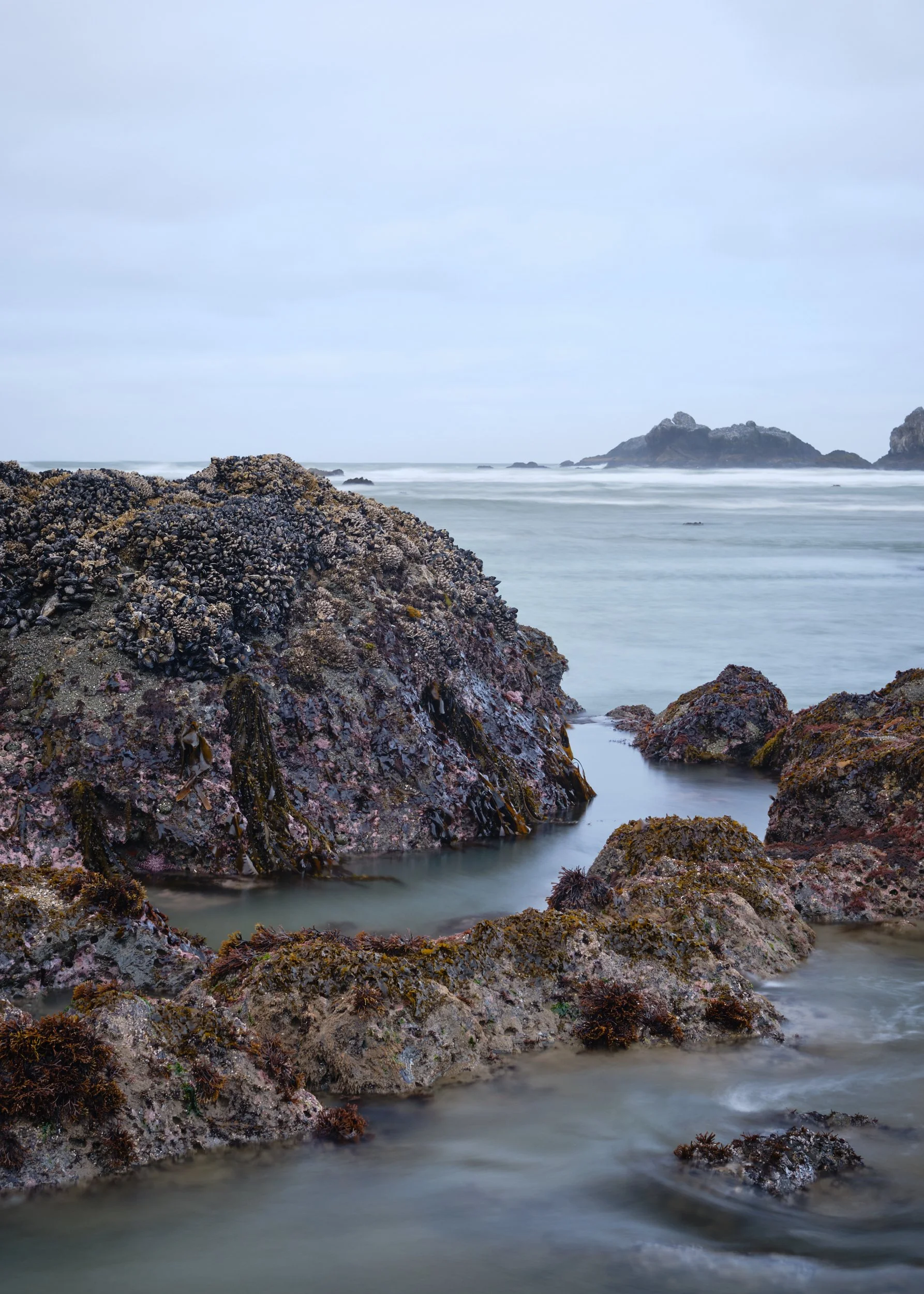 2019-04-20_05-57-00_Bandon.jpg