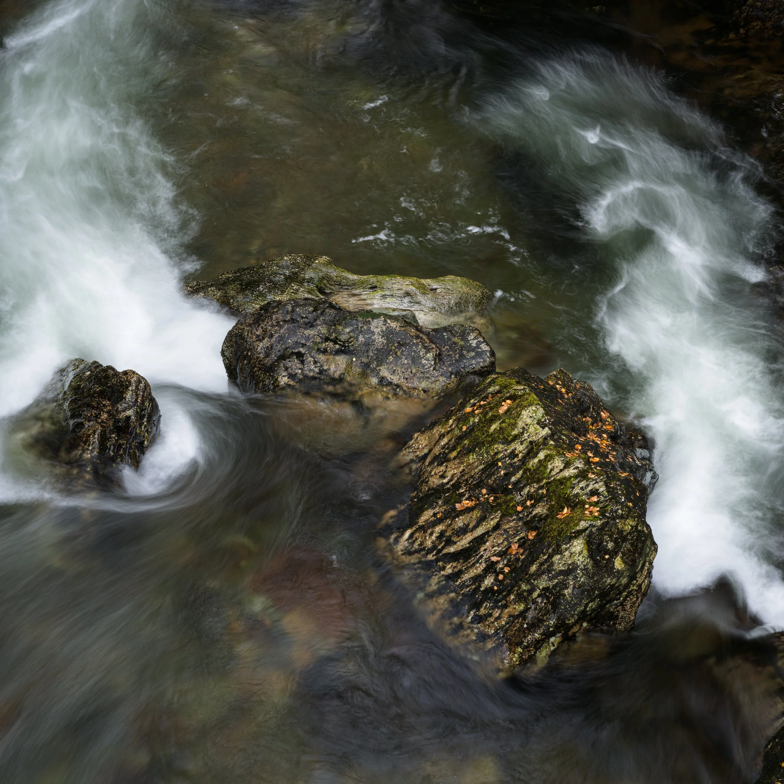 20241102-115556-HasselbladX2D 100C_Blog.jpg